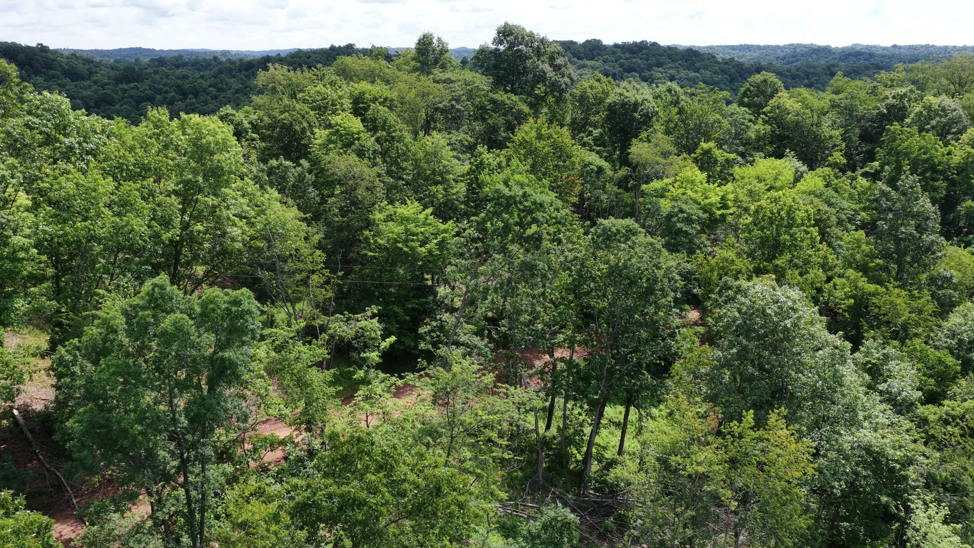 10 Acres with Creek in Washington County, OH - Shay Ridge Road Tract 5 - Photo 11