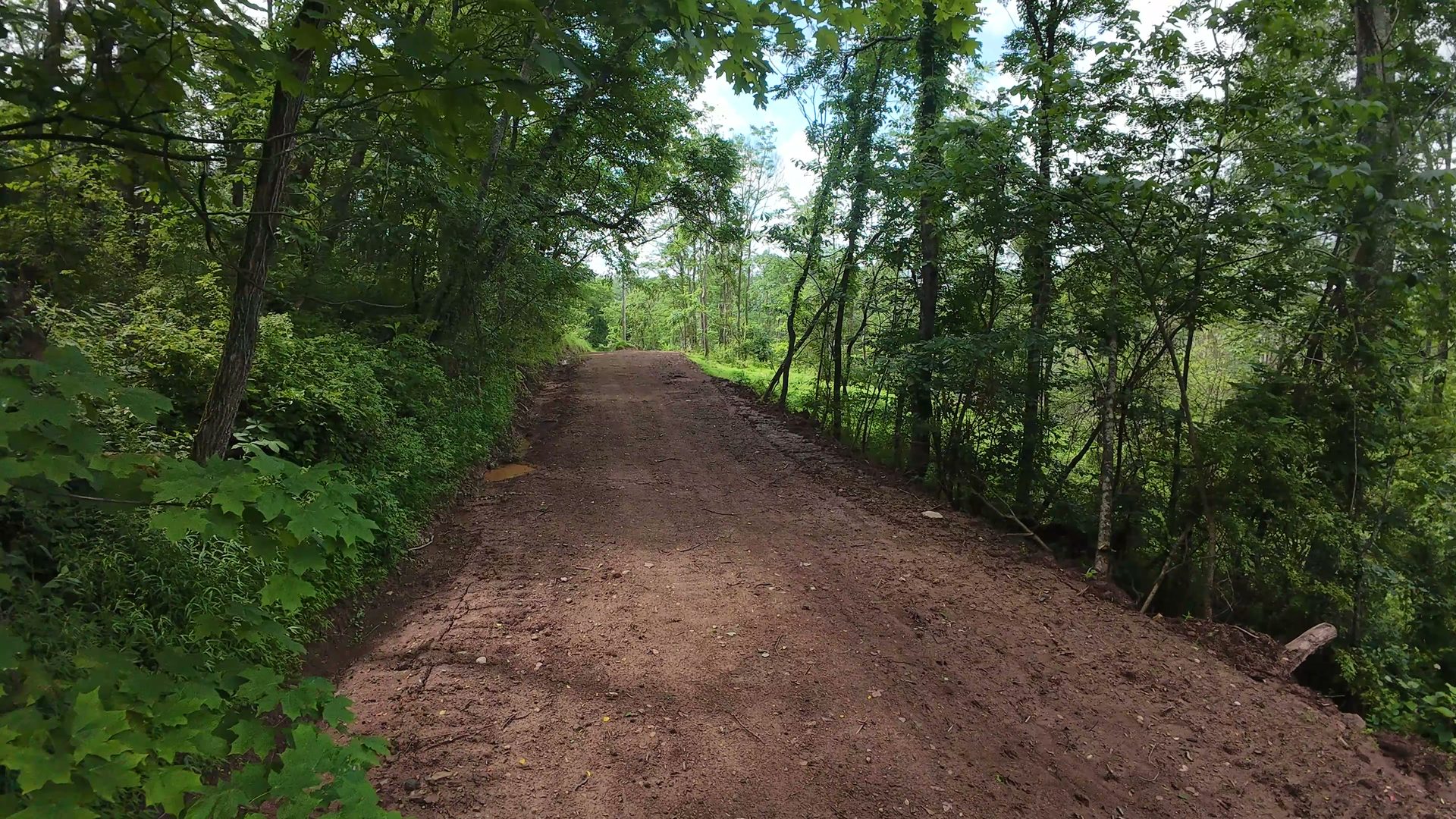 10 Acres with Creek in Washington County, OH - Shay Ridge Road Tract 5 - Photo 14