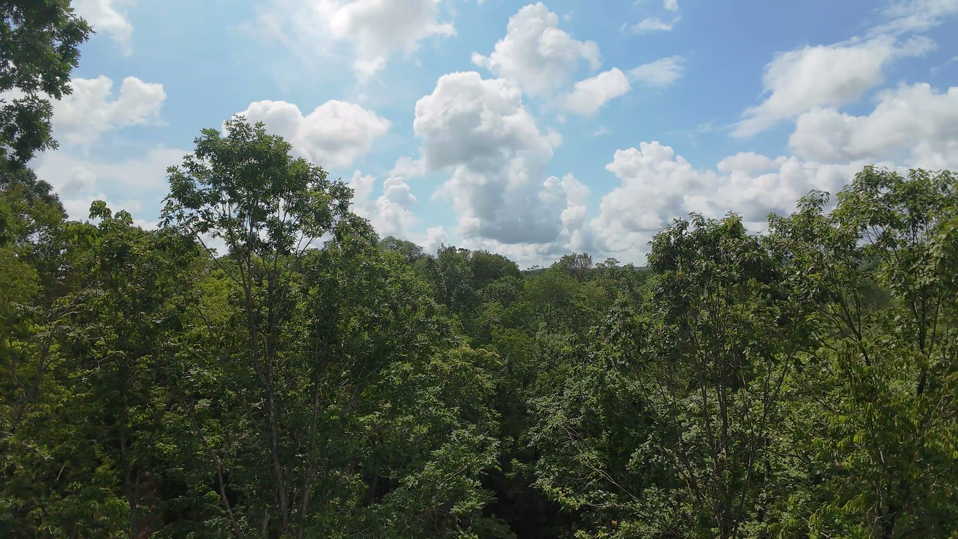 10 Acres with Creek in Washington County, OH - Shay Ridge Road Tract 5 - Photo 15
