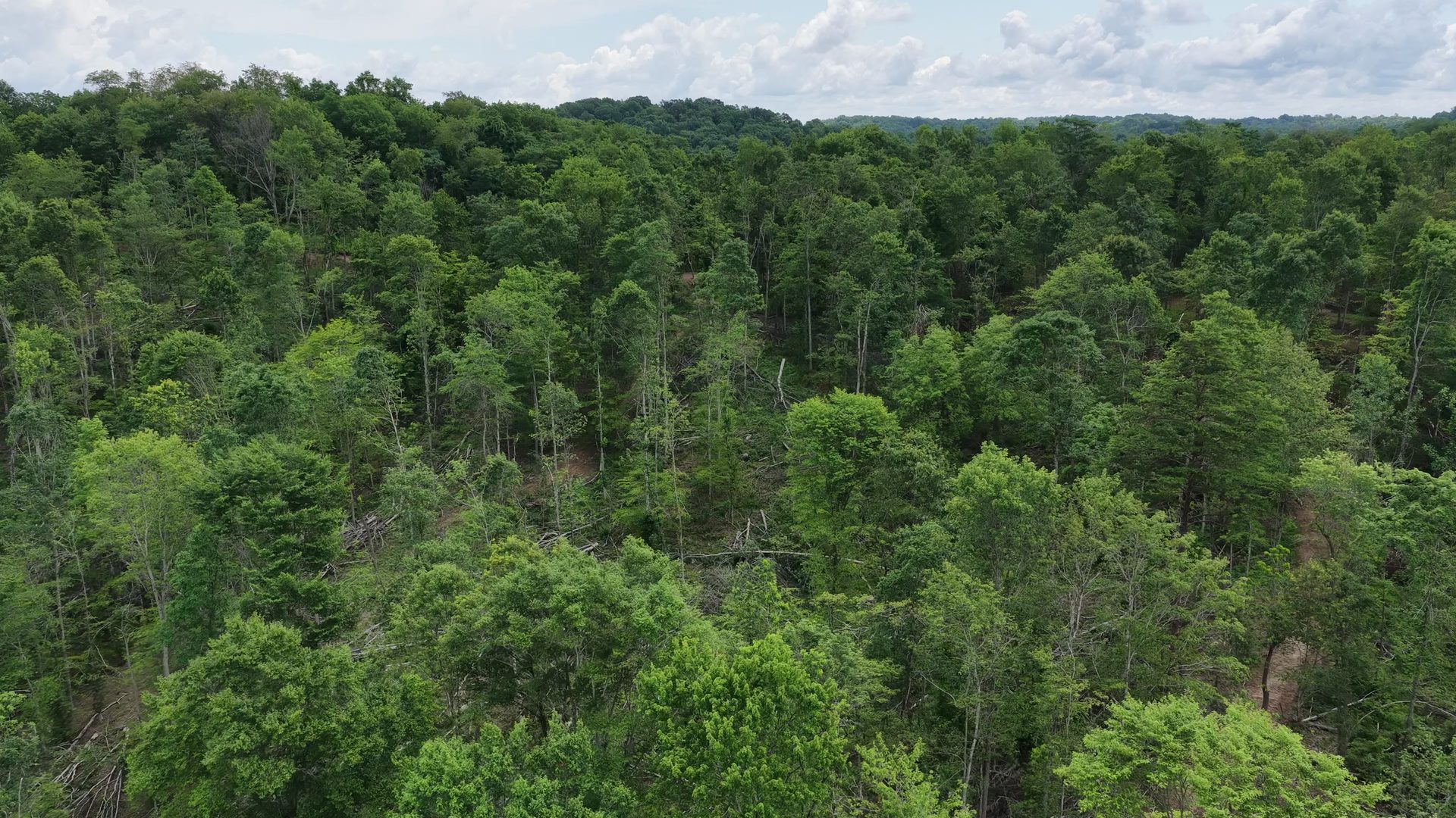 10 Acres with Creek in Washington County, OH - Shay Ridge Road Tract 5 - Photo 16