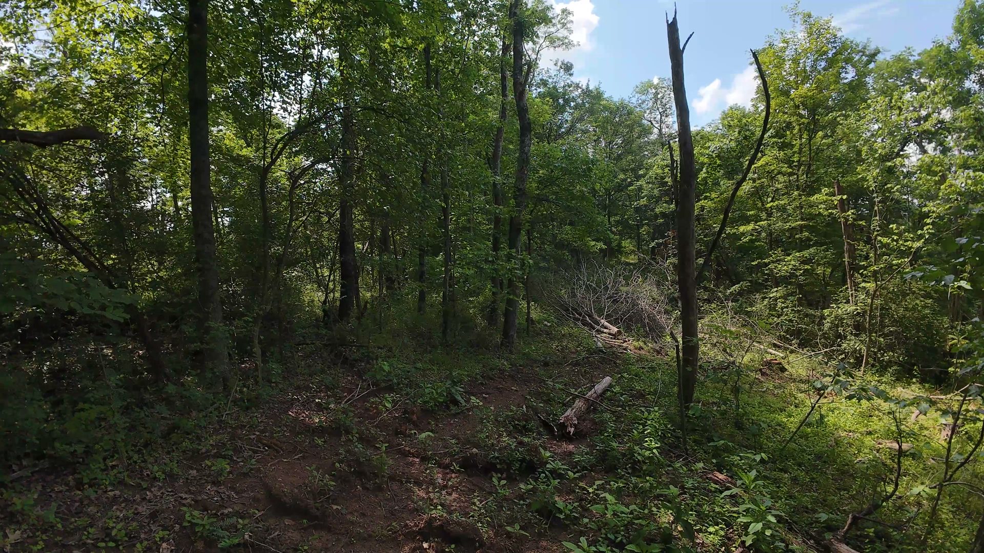 10 Acres with Creek in Washington County, OH - Shay Ridge Road Tract 5 - Photo 17