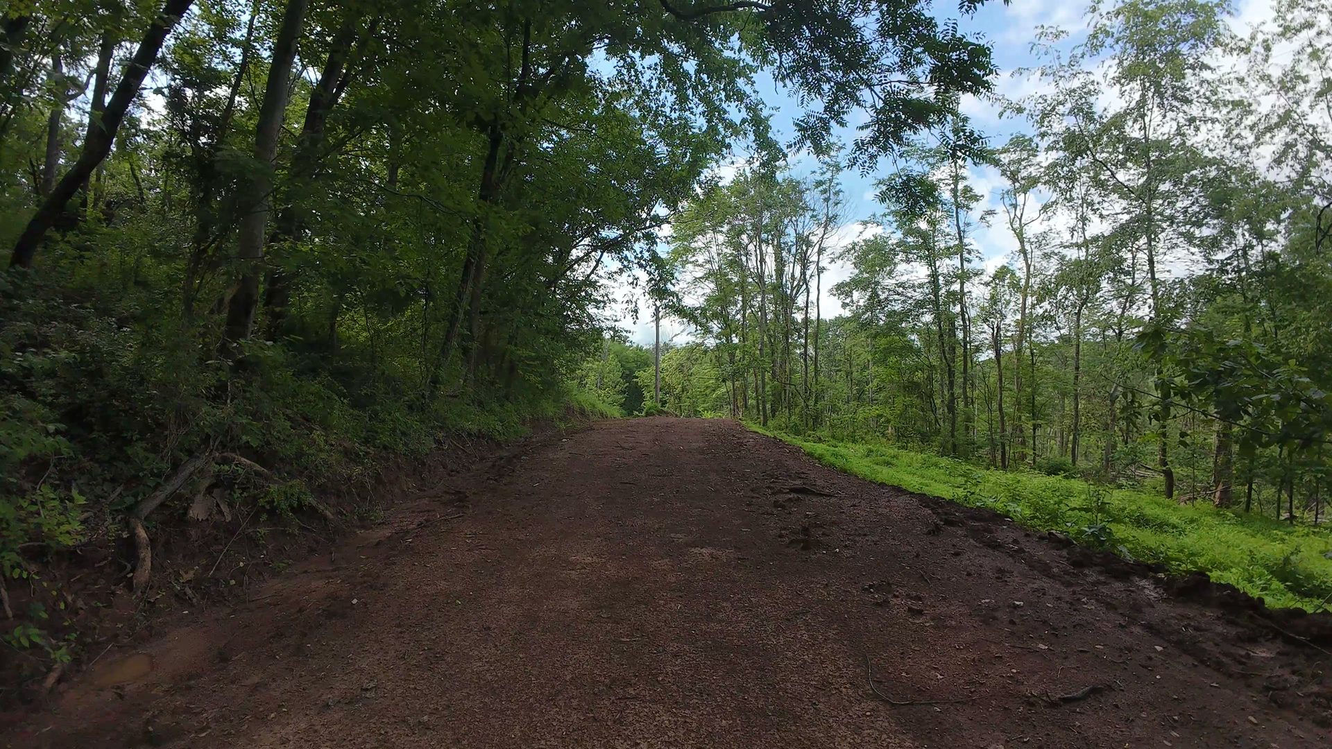 10 Acres with Creek in Washington County, OH - Shay Ridge Road Tract 5 - Photo 18