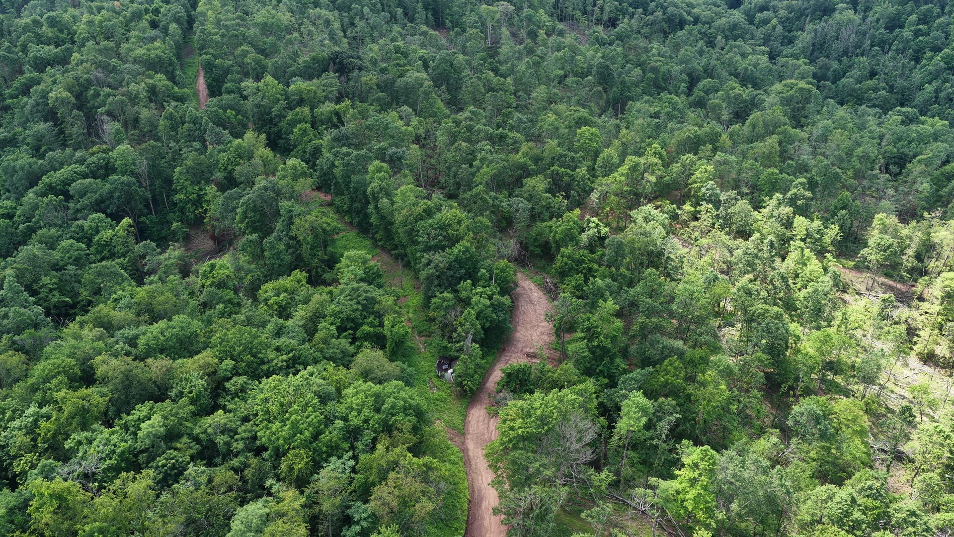 10 Acres with Creek in Washington County, OH - Shay Ridge Road Tract 5 - Photo 3
