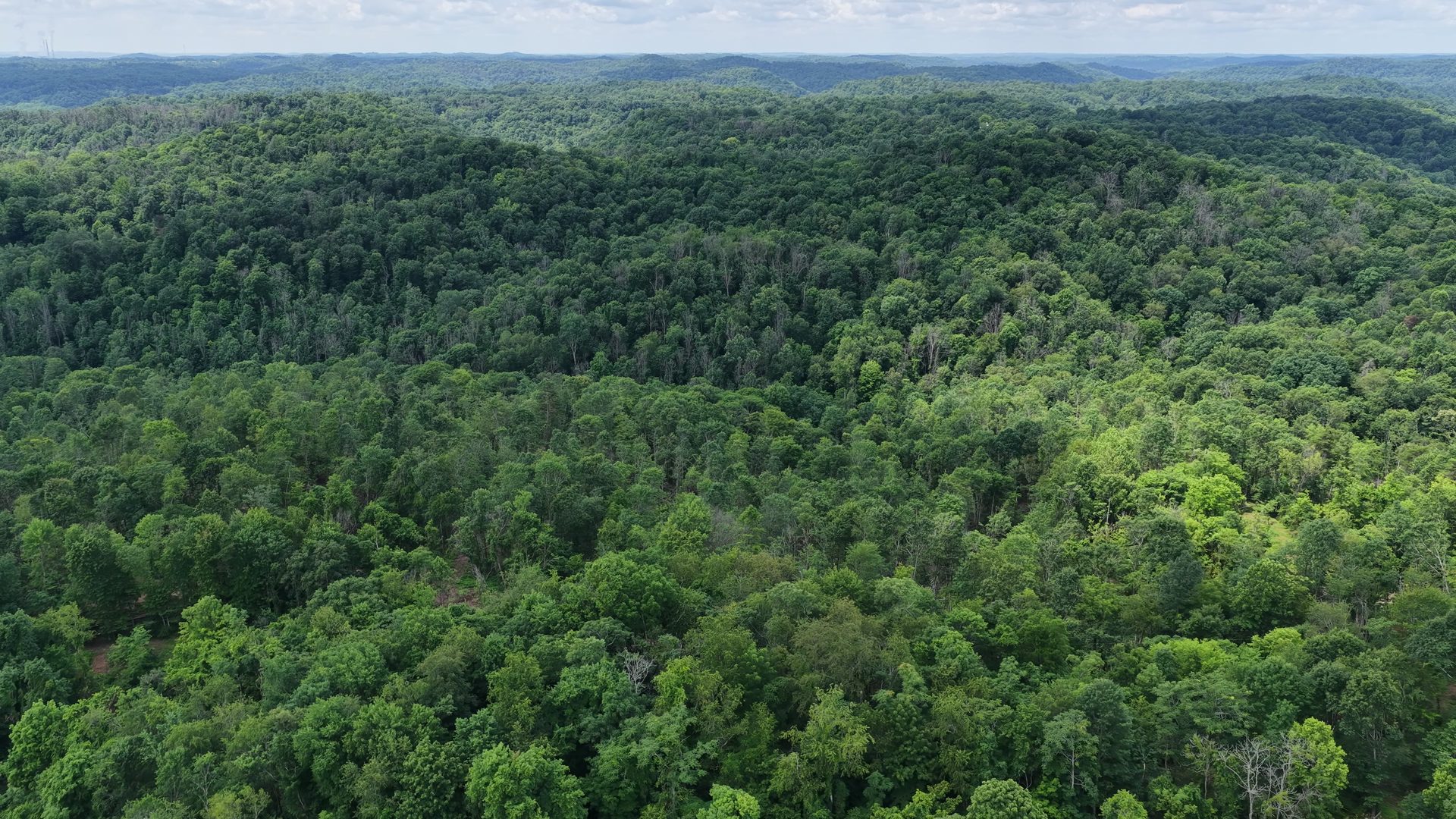 10 Acres with Creek in Washington County, OH - Shay Ridge Road Tract 5 - Photo 4