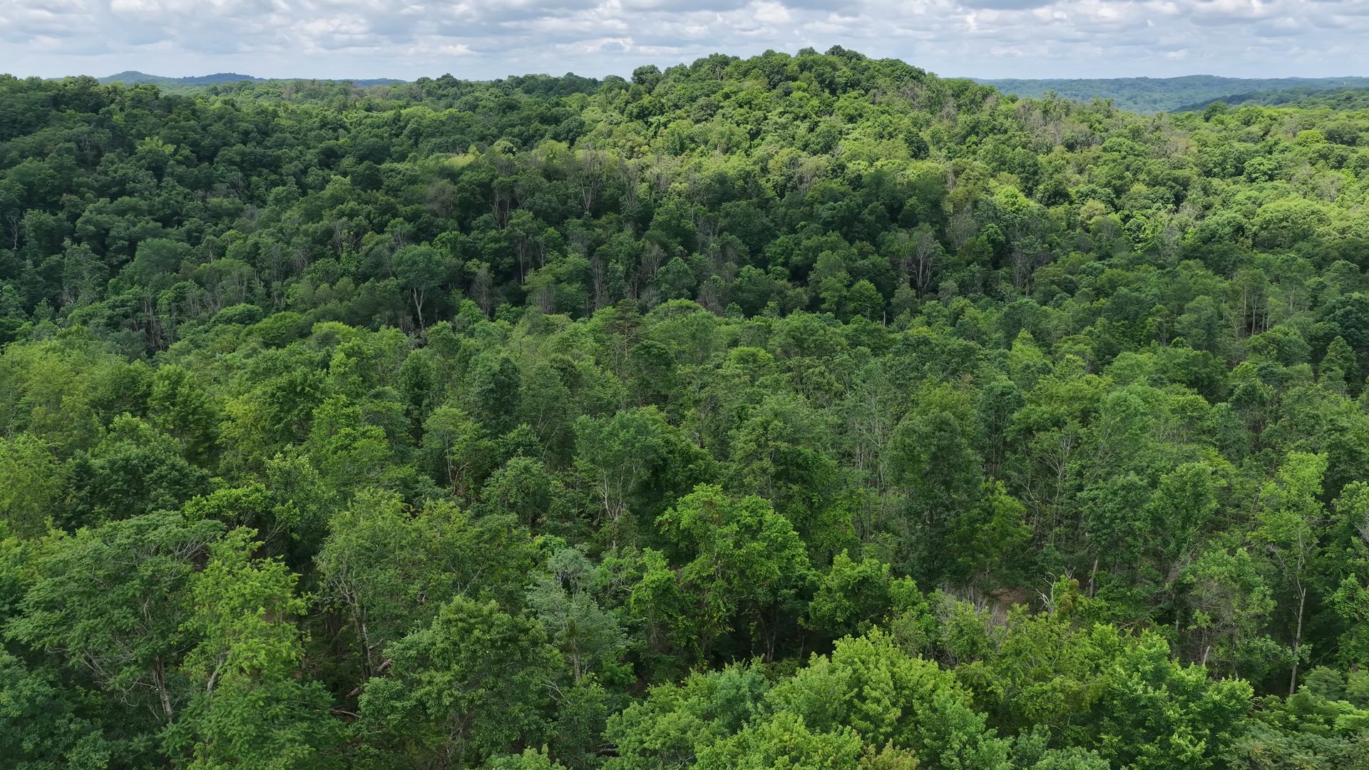 10 Acres with Creek in Washington County, OH - Shay Ridge Road Tract 5 - Photo 10