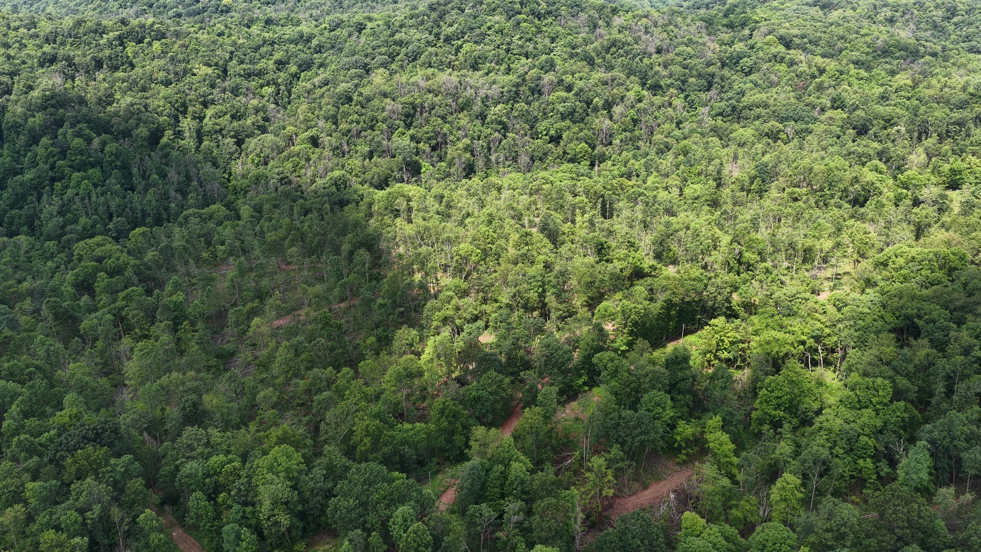 10 Acres with Creek in Washington County, OH - Shay Ridge Road Tract 5