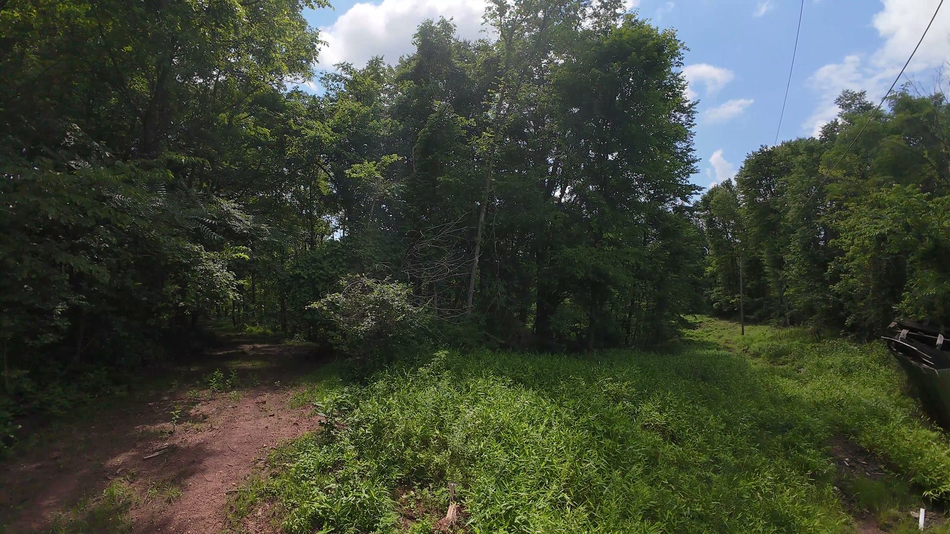 10 Acres with Clearing in Washington County, OH - Shay Ridge Road Tract 8 - Photo 12