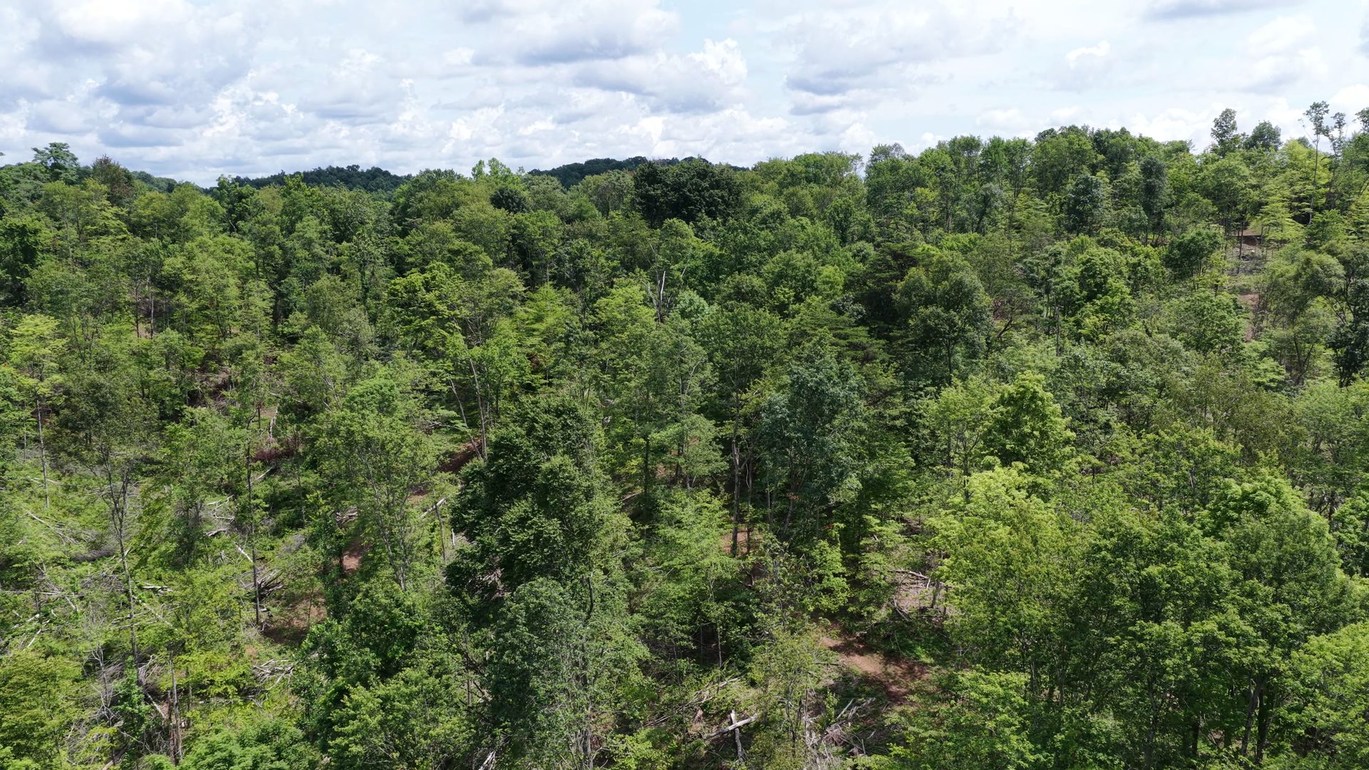 10 Acres with Clearing in Washington County, OH - Shay Ridge Road Tract 8 - Photo 13