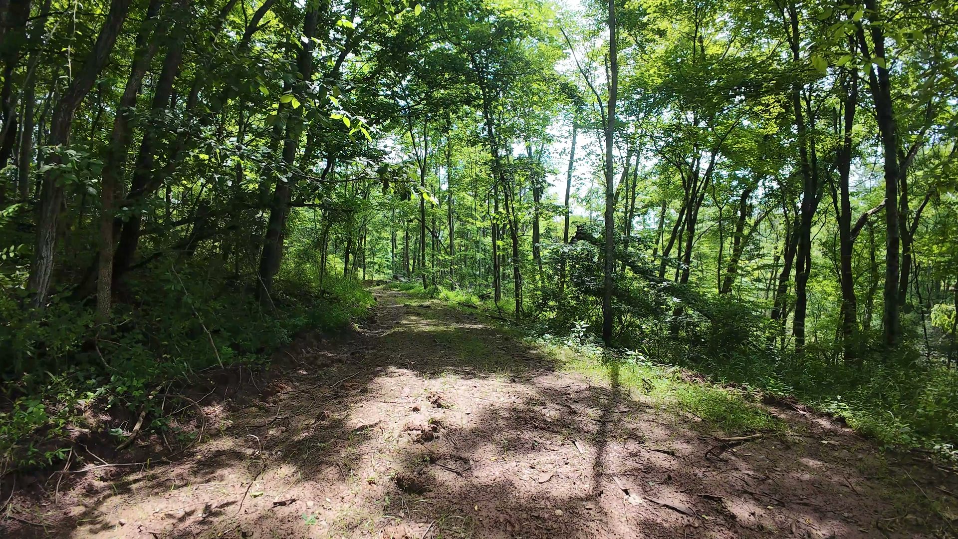 10 Acres with Clearing in Washington County, OH - Shay Ridge Road Tract 8 - Photo 17