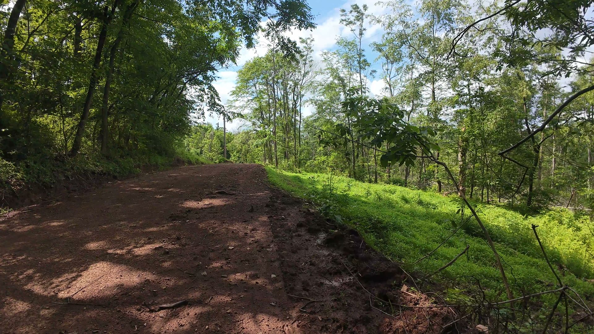 10 Acres with Clearing in Washington County, OH - Shay Ridge Road Tract 8 - Photo 18