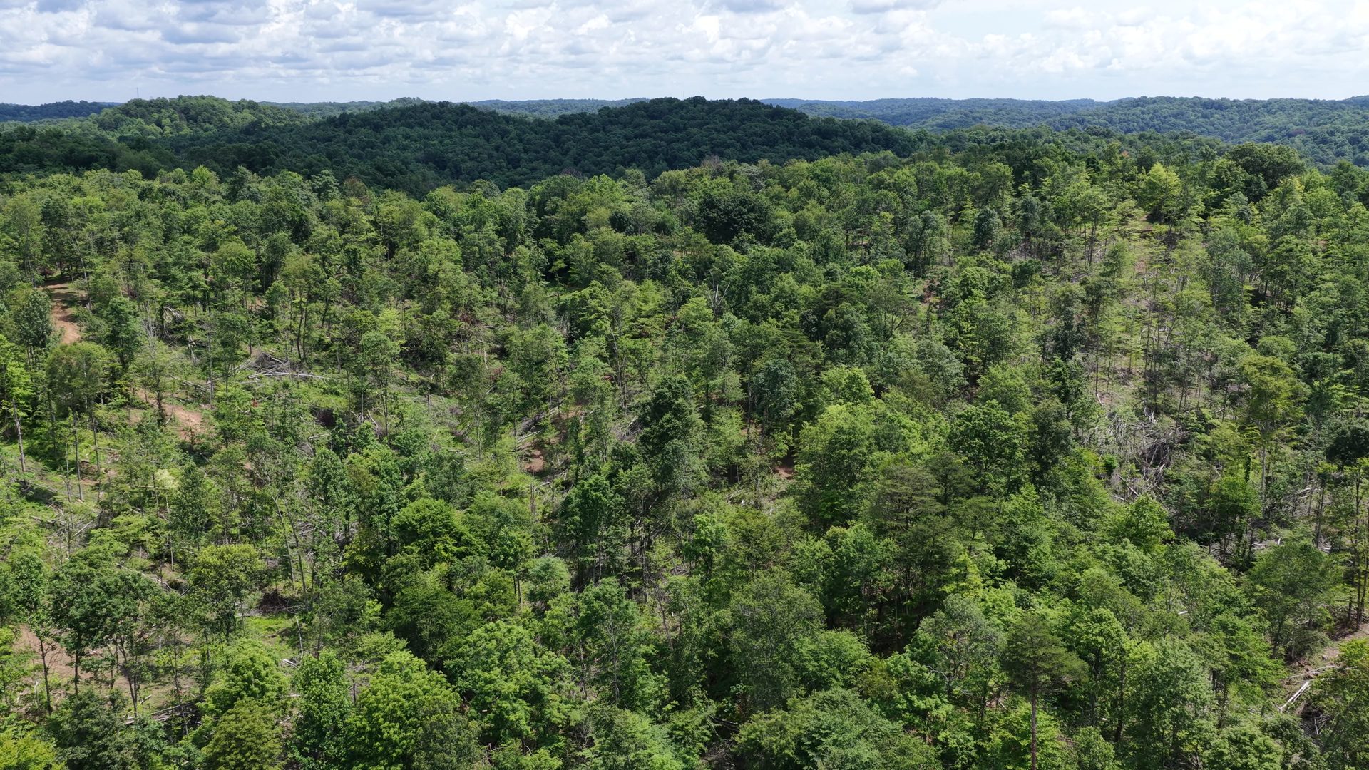 10 Acres with Clearing in Washington County, OH - Shay Ridge Road Tract 8 - Photo 3