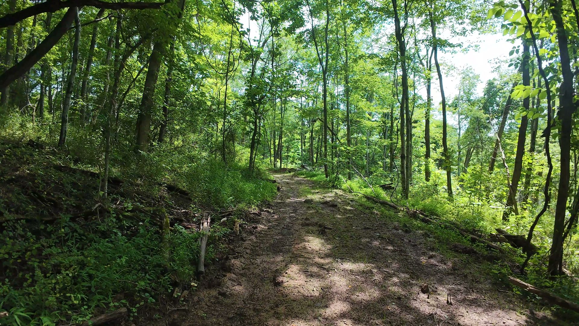 10 Acres with Clearing in Washington County, OH - Shay Ridge Road Tract 8 - Photo 22