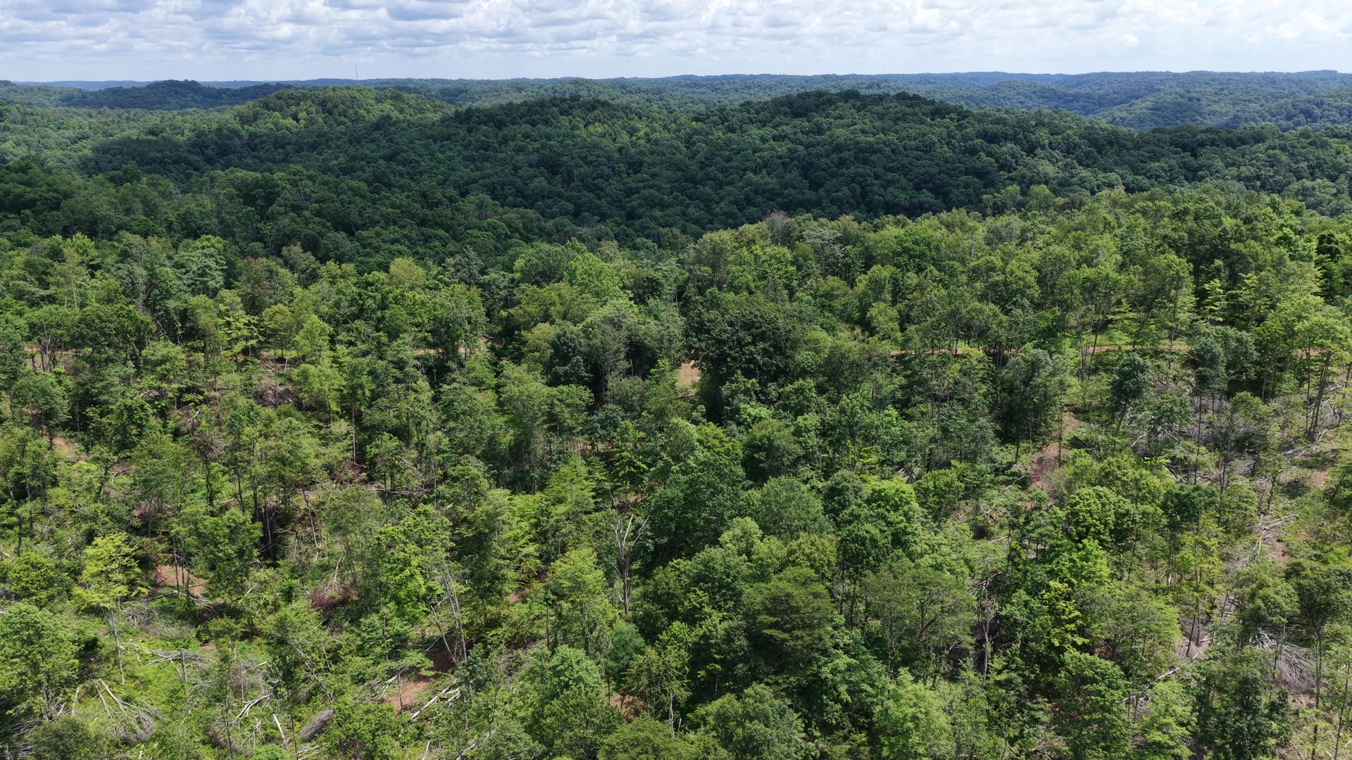 10 Acres with Clearing in Washington County, OH - Shay Ridge Road Tract 8 - Photo 5