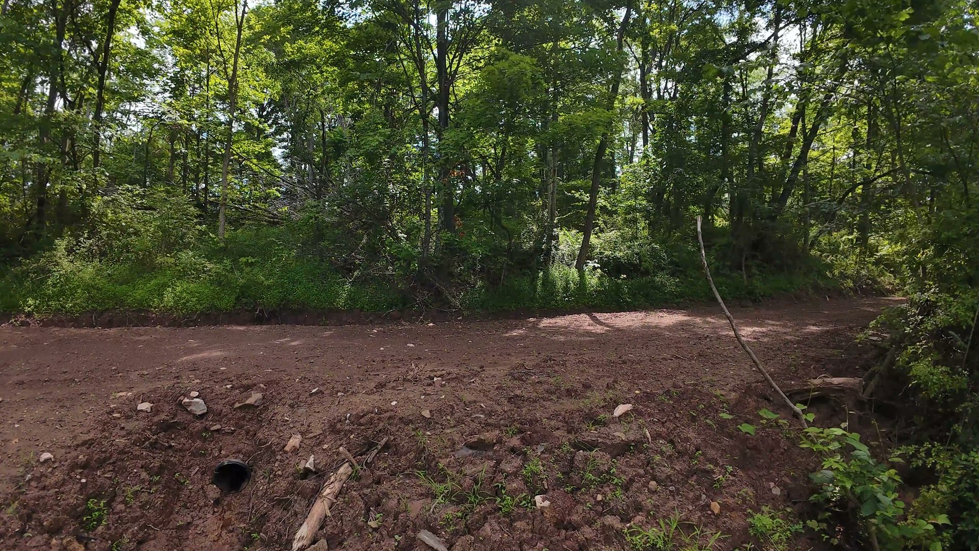 10 Acres with Clearing in Washington County, OH - Shay Ridge Road Tract 8 - Photo 6