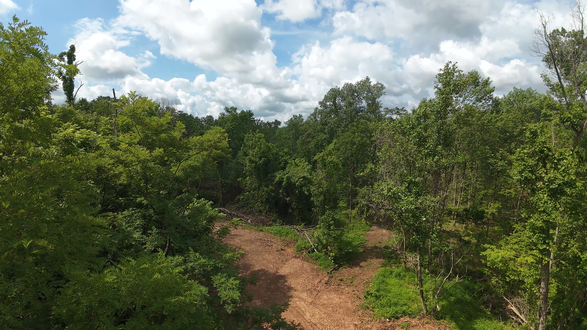 10 Acres with Clearing in Washington County, OH - Shay Ridge Road Tract 8 - Photo 7