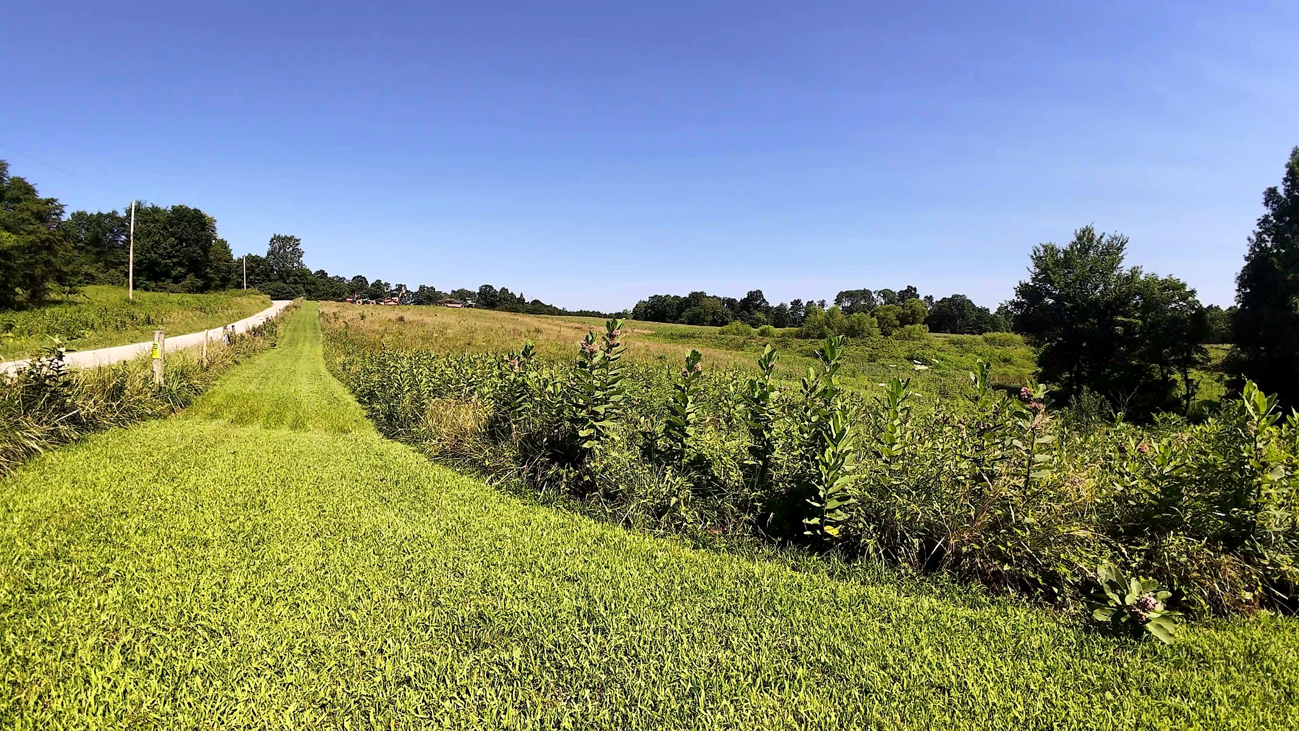 10 Acres with Pond in Washington County, OH - Wildwood Lake Road Tract 4 - Photo 6