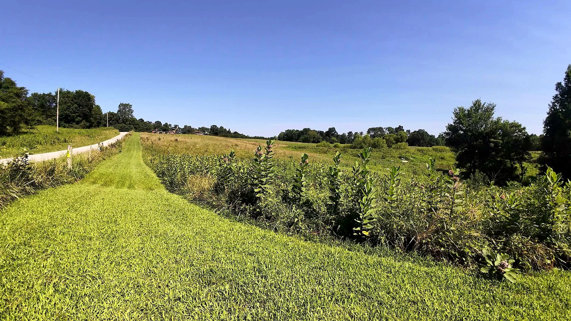 10 Acres with Pond in Washington County, OH - Wildwood Lake Road Tract 4 - Photo 6