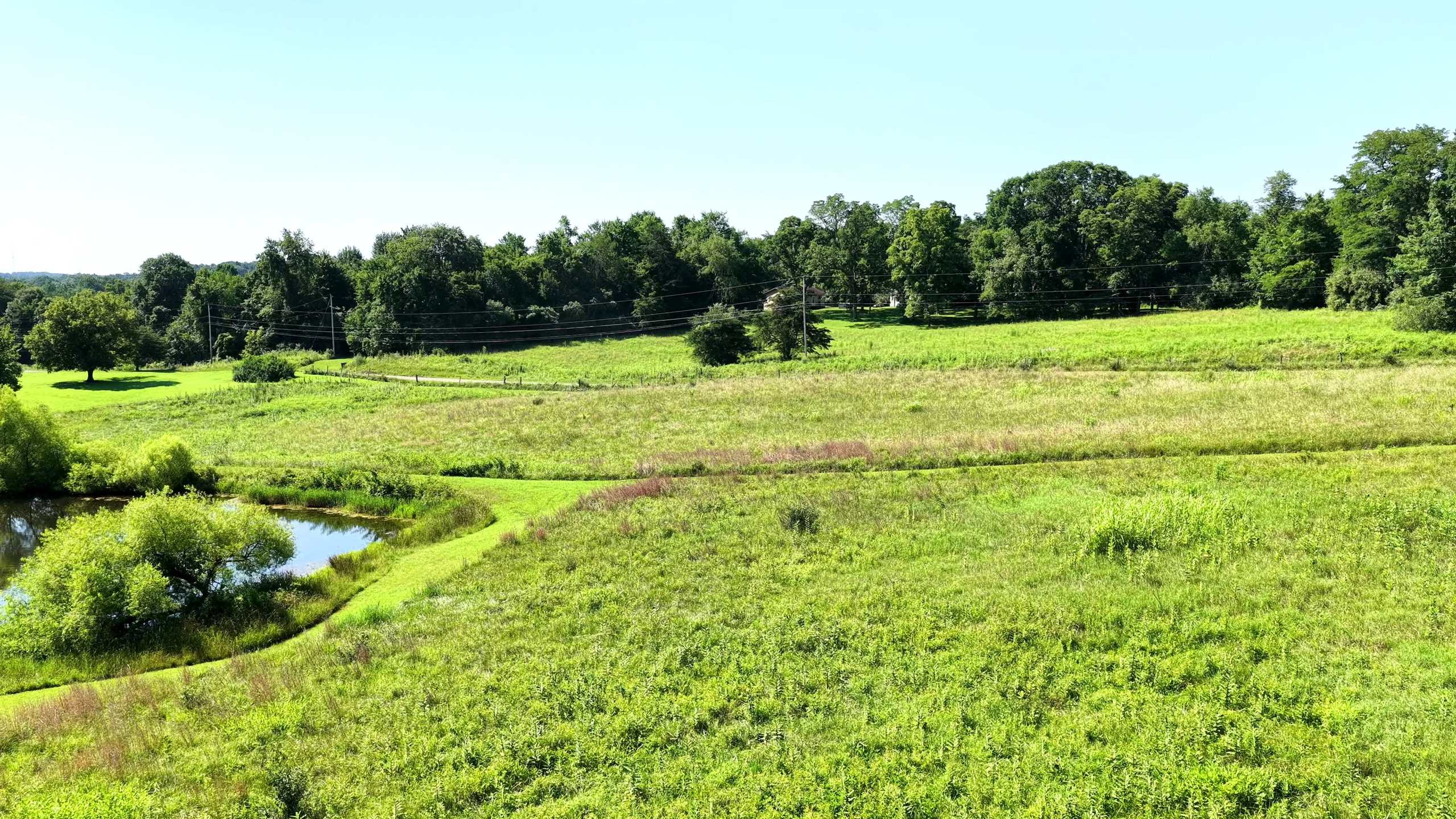 10 Acres with Pond in Washington County, OH - Wildwood Lake Road Tract 4 - Photo 7