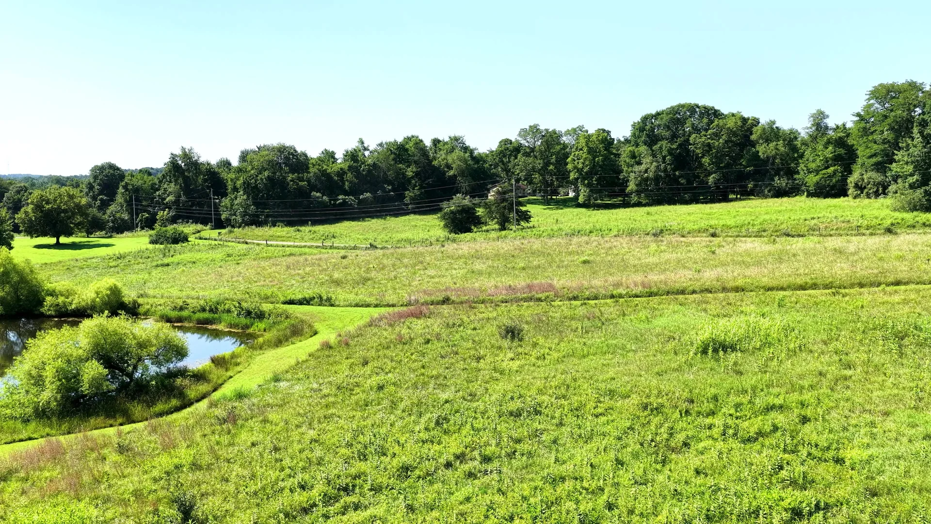 10 Acres with Pond in Washington County, OH - Wildwood Lake Road Tract 4 - Photo 7