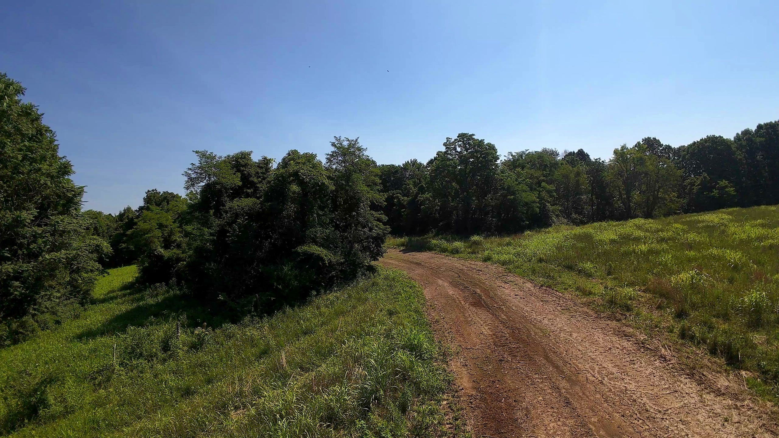 10 Acres with Pond in Washington County, OH - Wildwood Lake Road Tract 4 - Photo 8