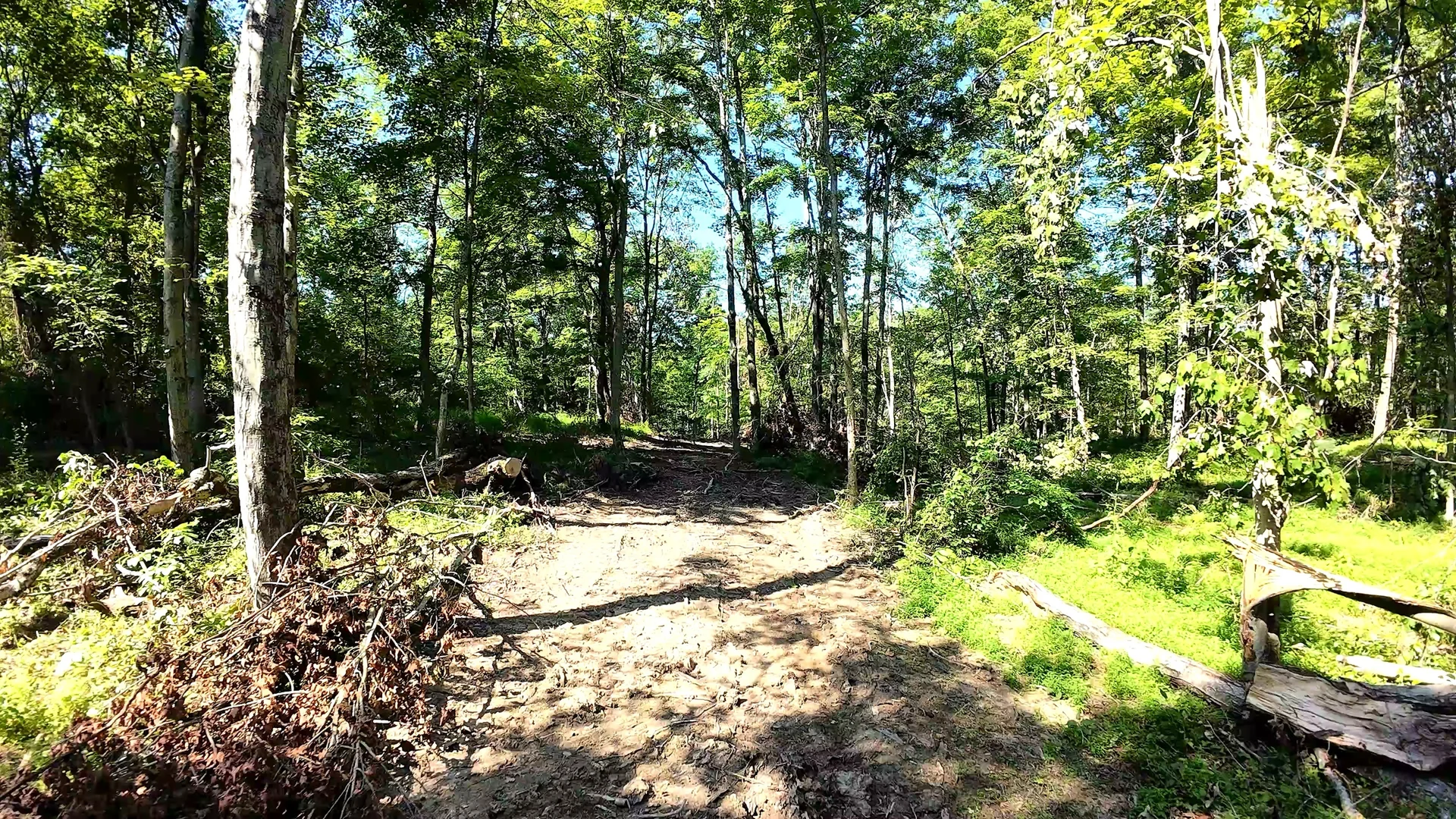 10 Acres with Pond in Washington County, OH - Wildwood Lake Road Tract 4 - Photo 10