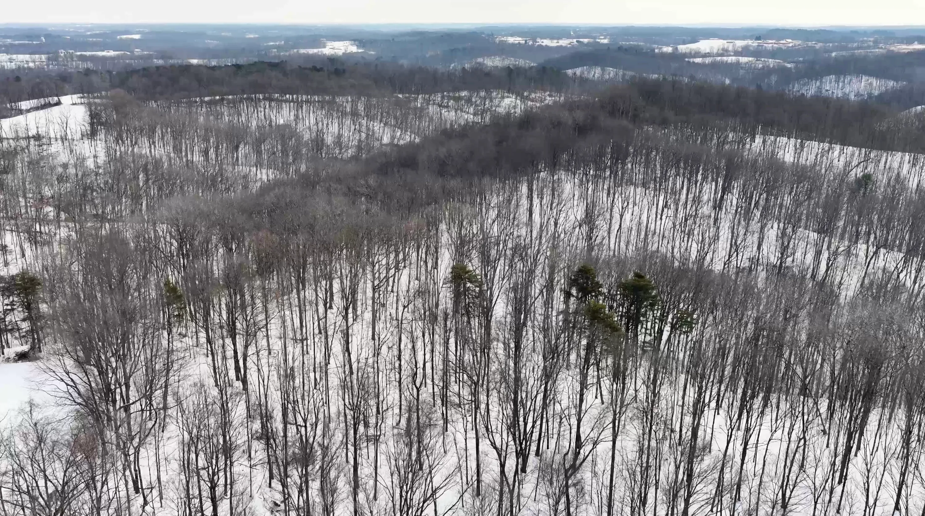 104 Acres in Washington County, OH - State Route 555 - Photo 11