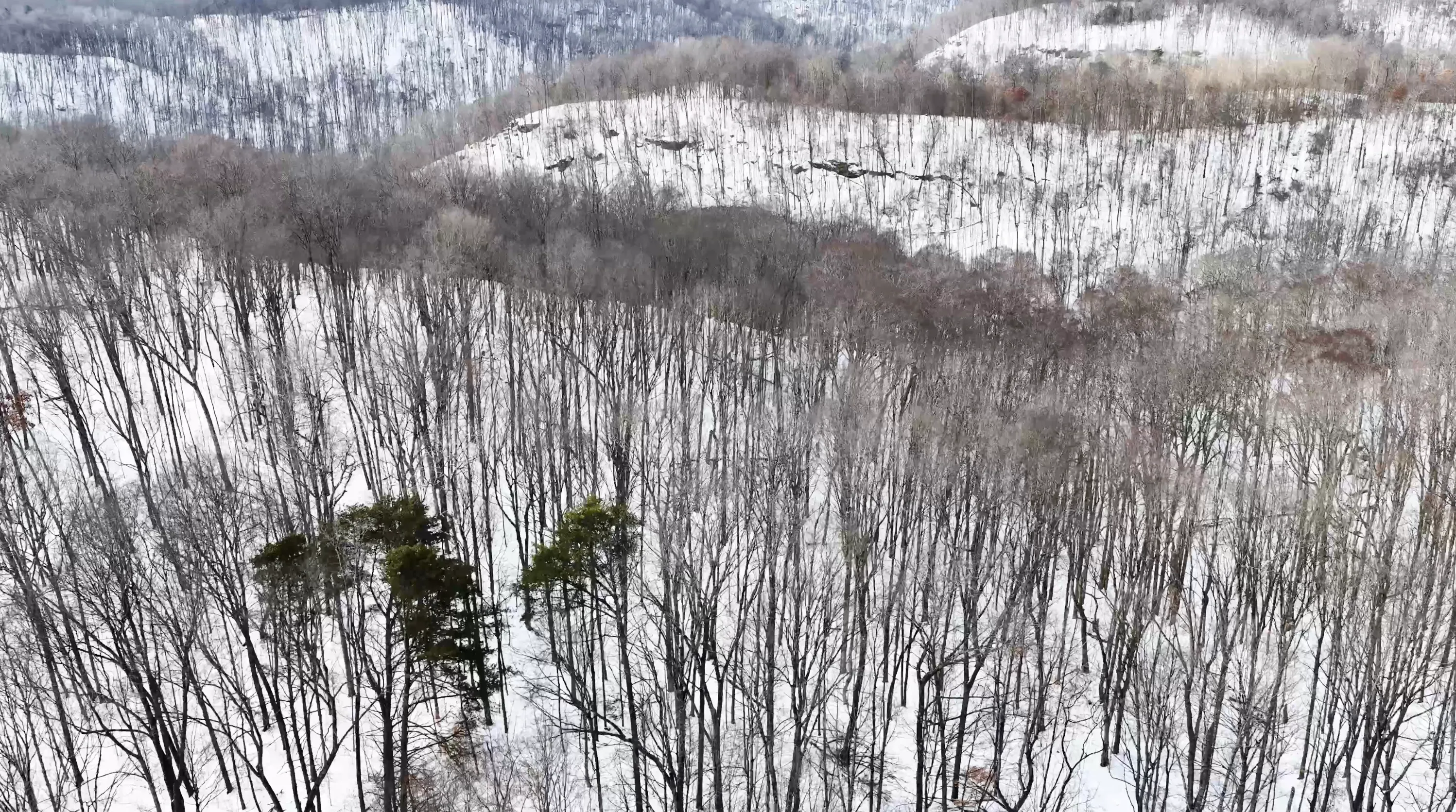 104 Acres in Washington County, OH - State Route 555 - Photo 12