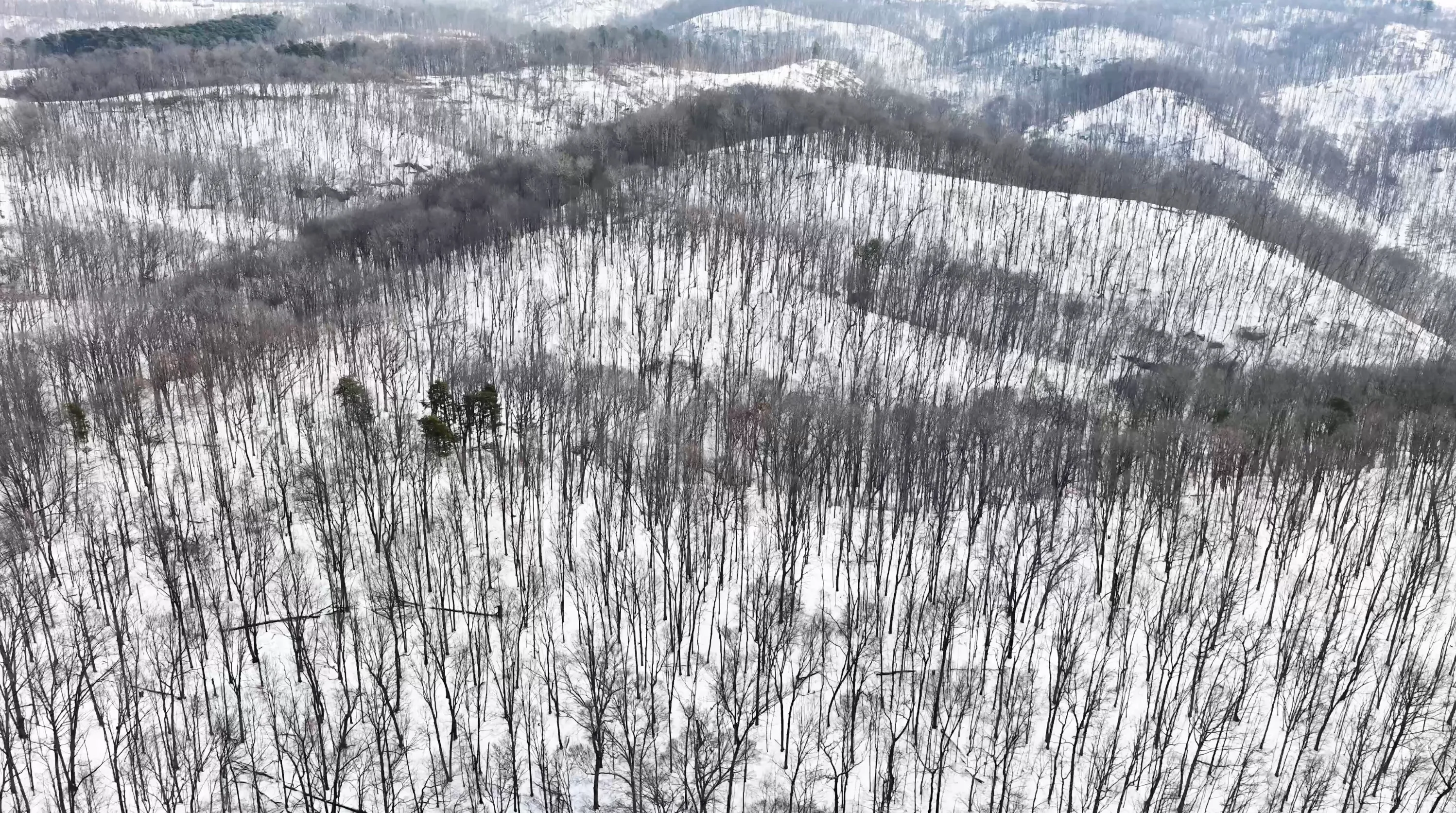 104 Acres in Washington County, OH - State Route 555 - Photo 13