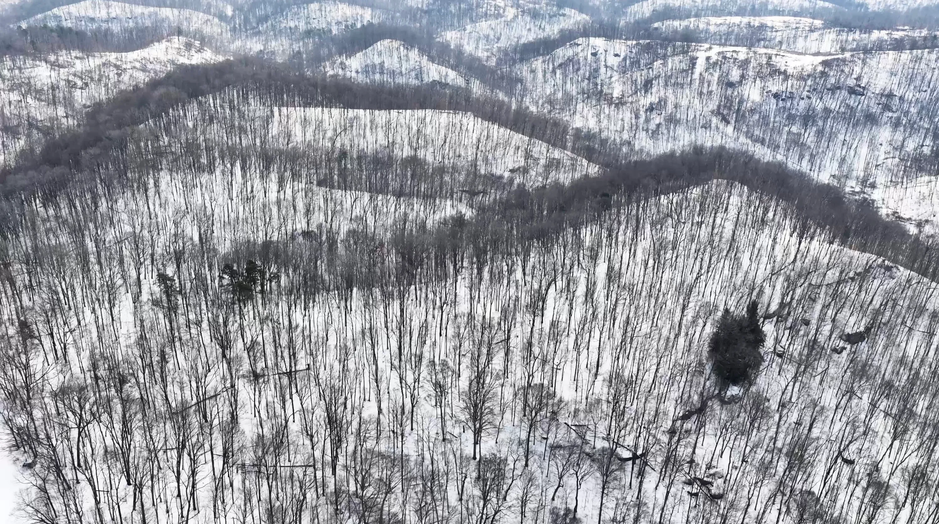 104 Acres in Washington County, OH - State Route 555 - Photo 14