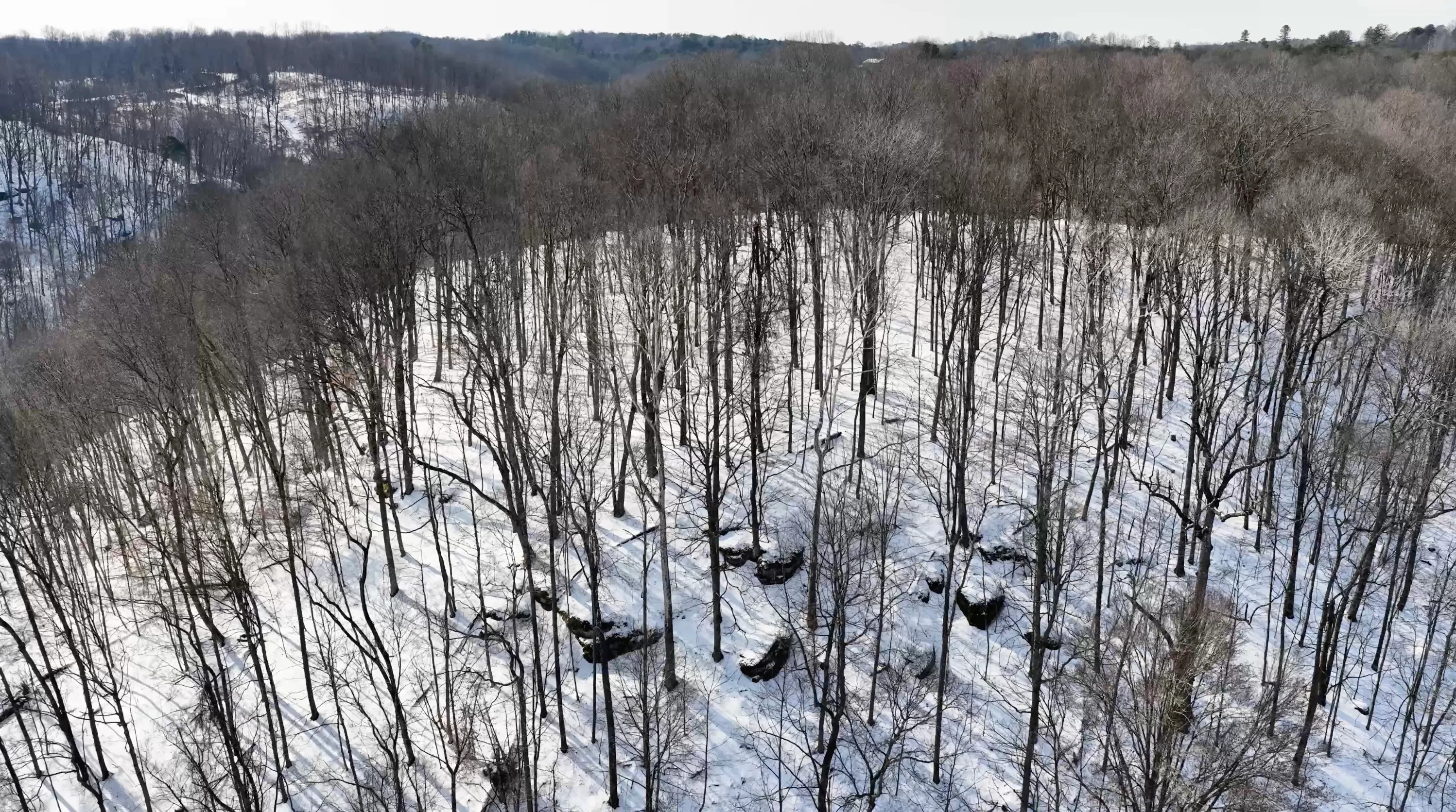 104 Acres in Washington County, OH - State Route 555 - Photo 15