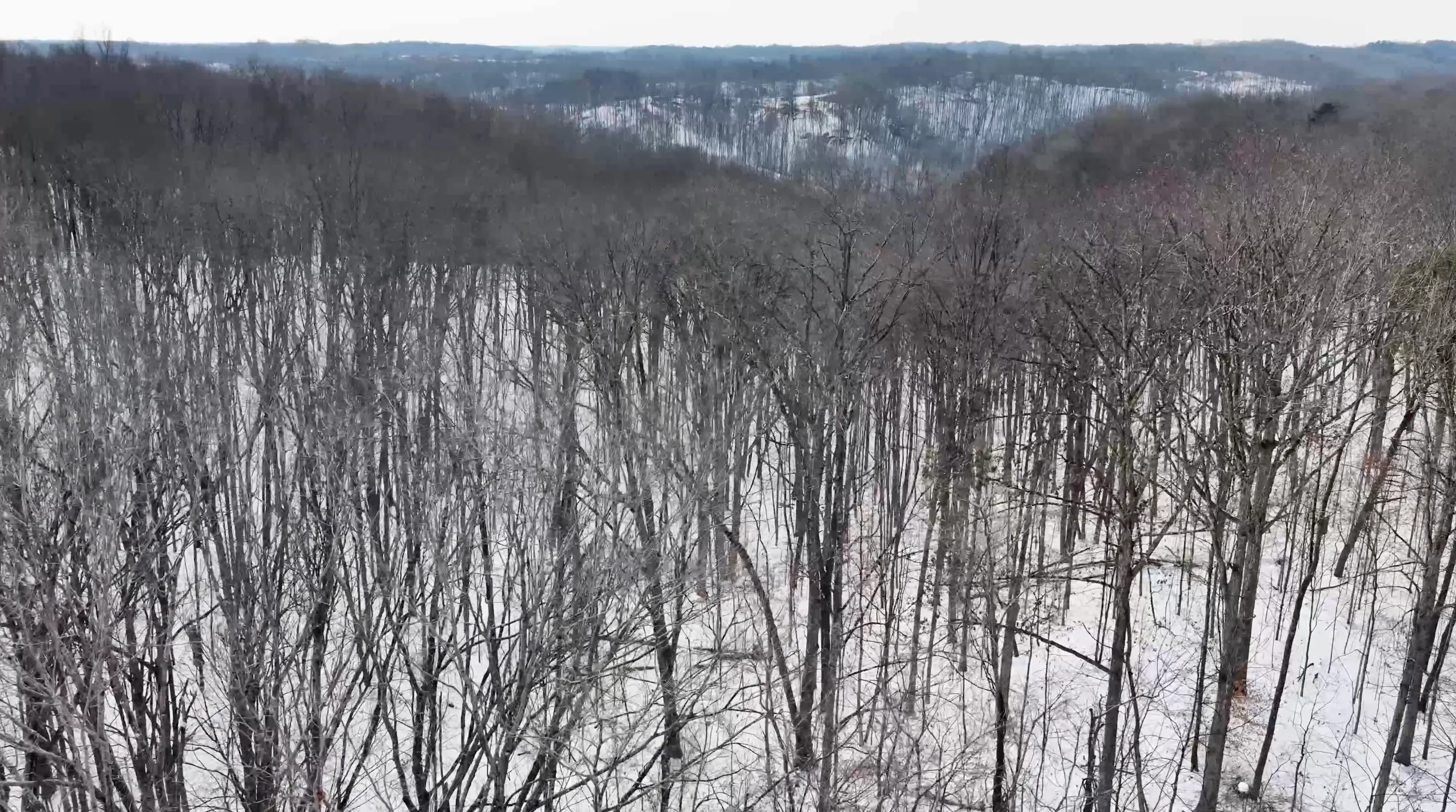 104 Acres in Washington County, OH - State Route 555 - Photo 16