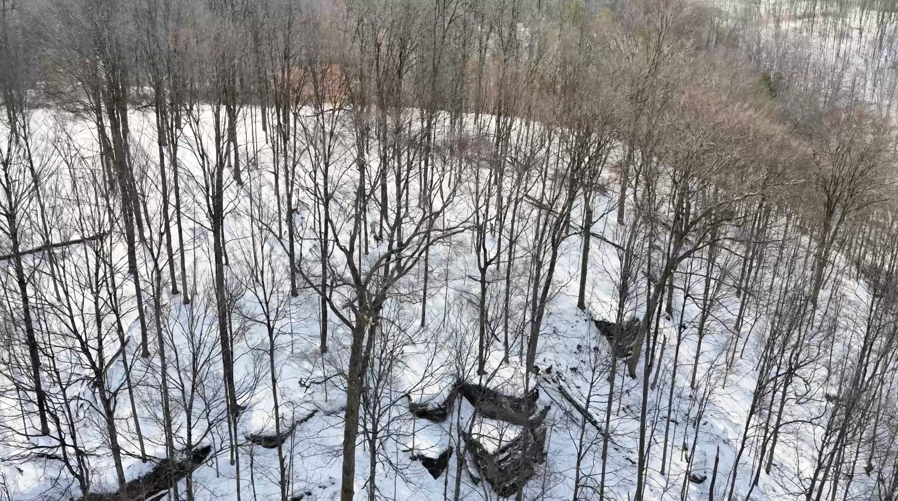 104 Acres in Washington County, OH - State Route 555 - Photo 17