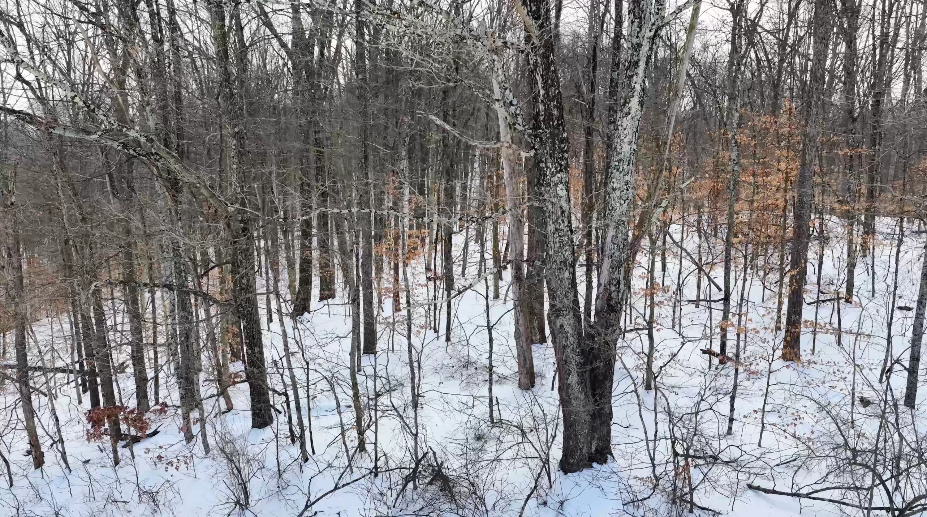 104 Acres in Washington County, OH - State Route 555 - Photo 19