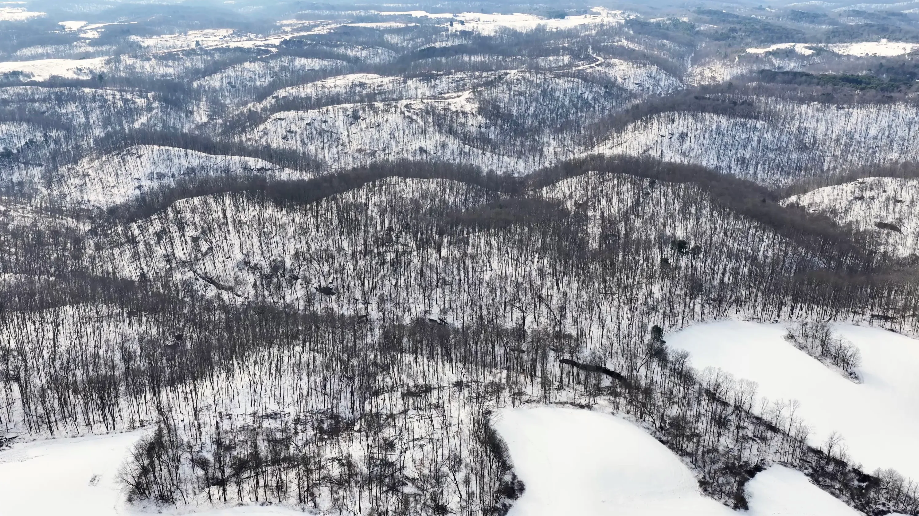 104 Acres in Washington County, OH - State Route 555 - Photo 4