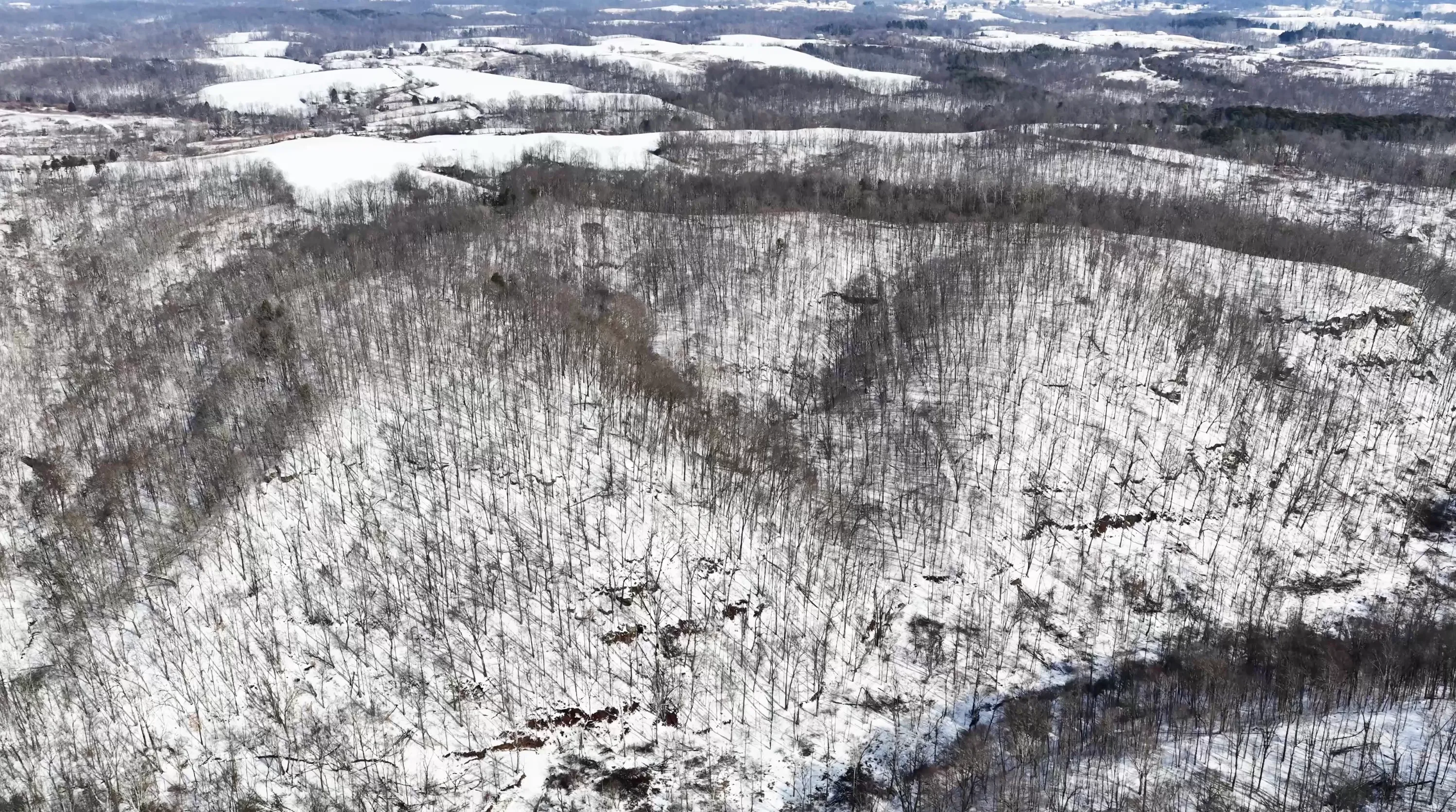 104 Acres in Washington County, OH - State Route 555 - Photo 5