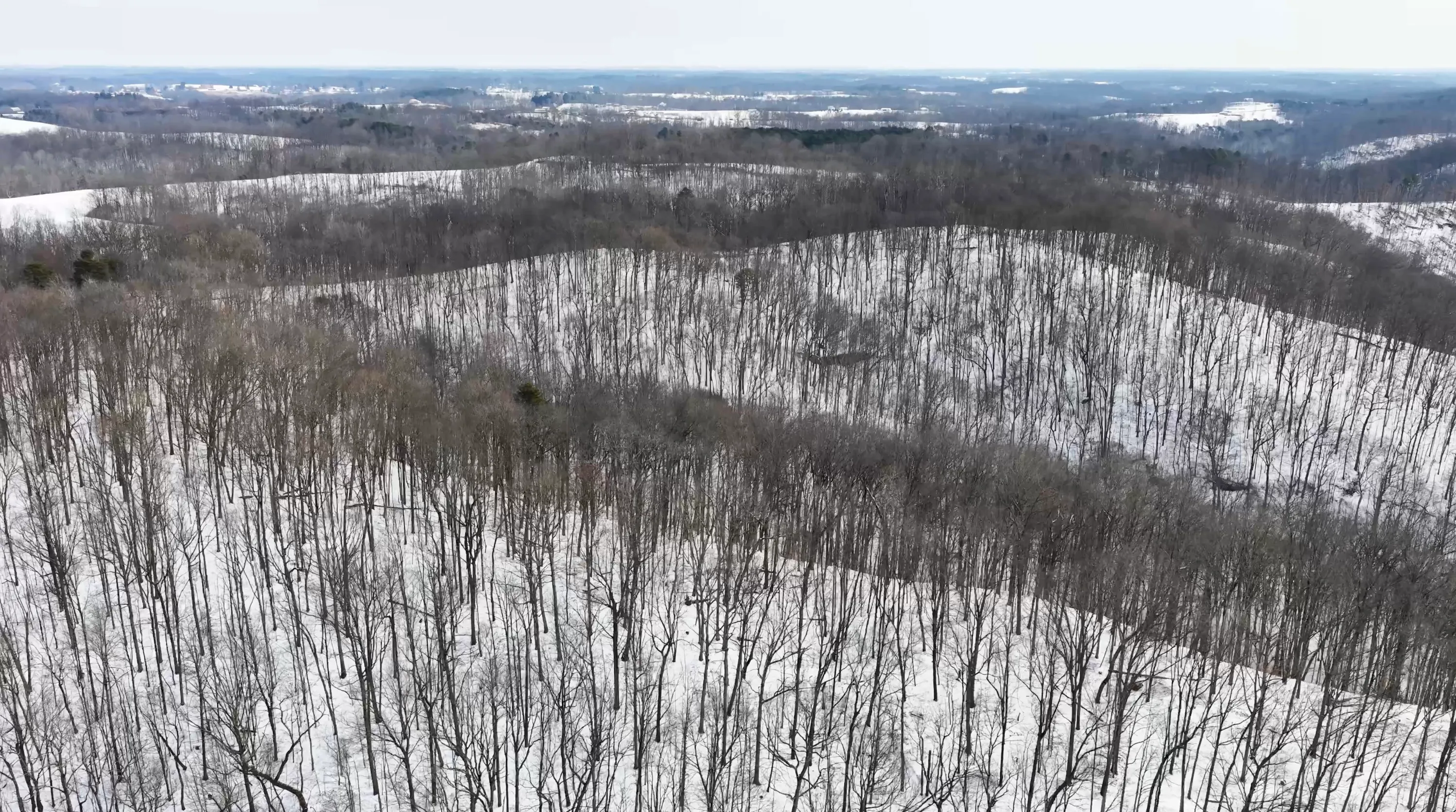 104 Acres in Washington County, OH - State Route 555 - Photo 7