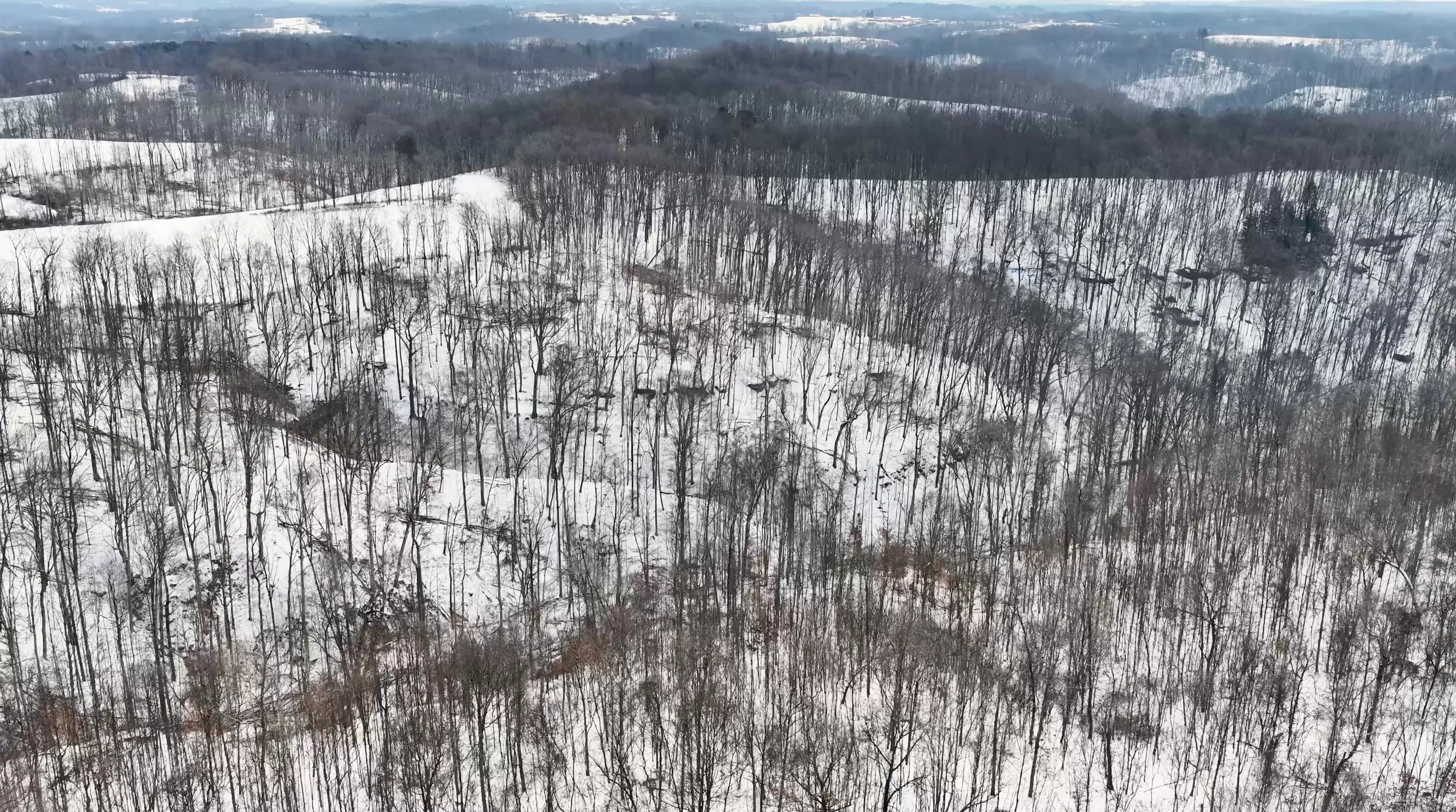 104 Acres in Washington County, OH - State Route 555 - Photo 8