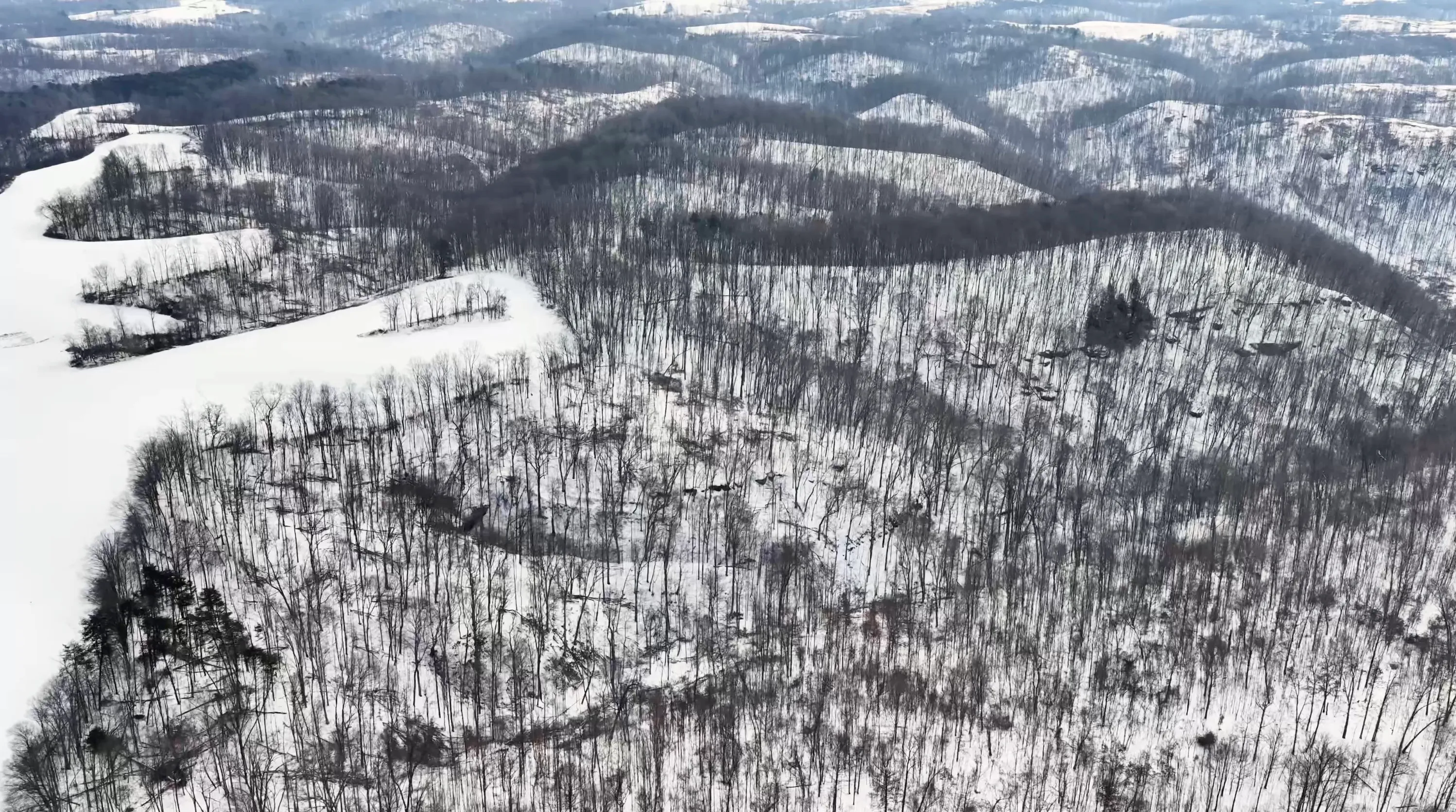 104 Acres in Washington County, OH - State Route 555 - Photo 9