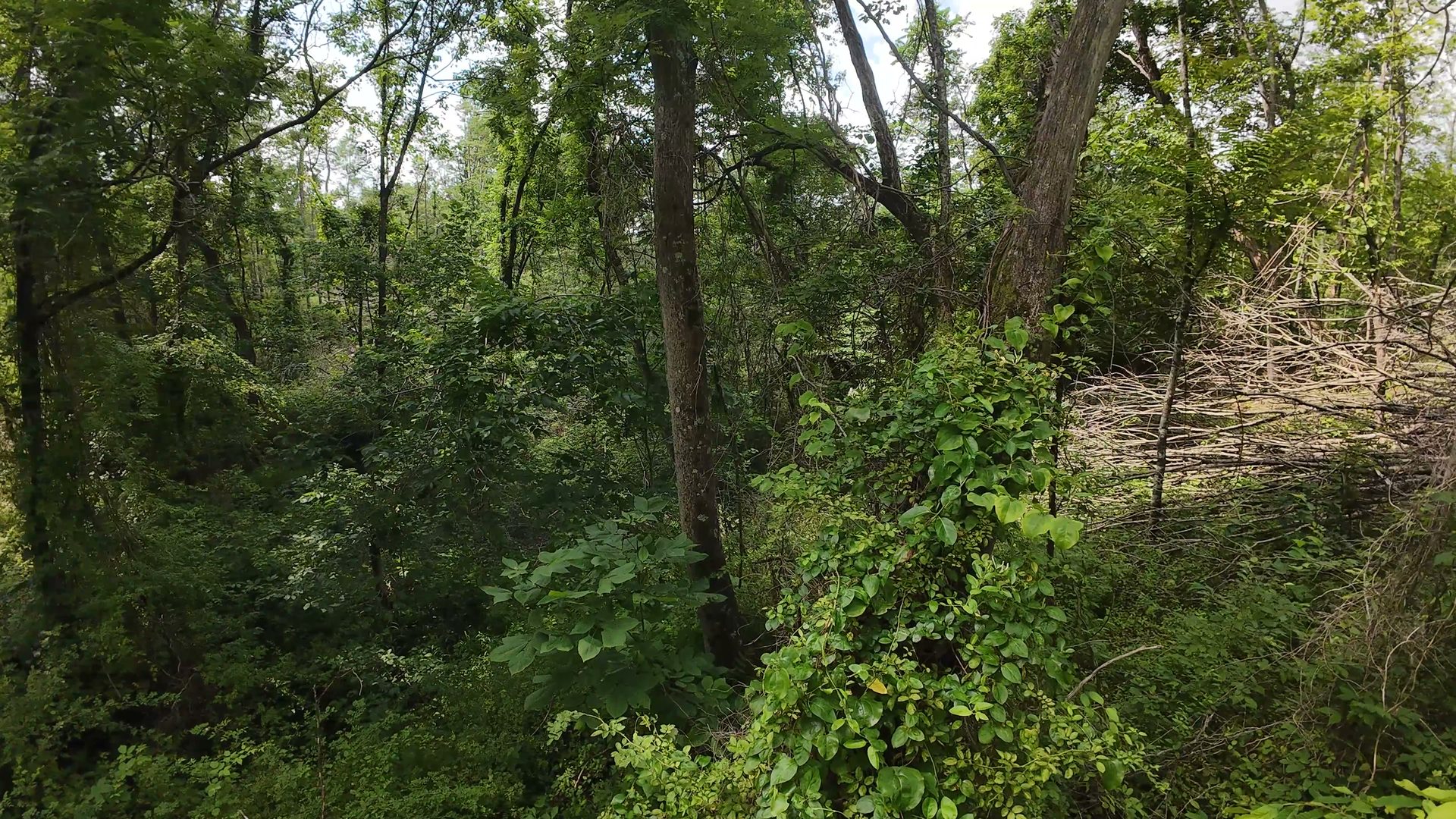 11 Acres with Creek in Washington County, OH - Shay Ridge Road Tract 6 - Photo 14