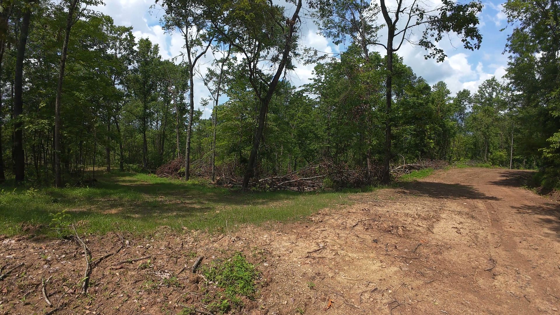 11 Acres with Creek in Washington County, OH - Shay Ridge Road Tract 6 - Photo 15