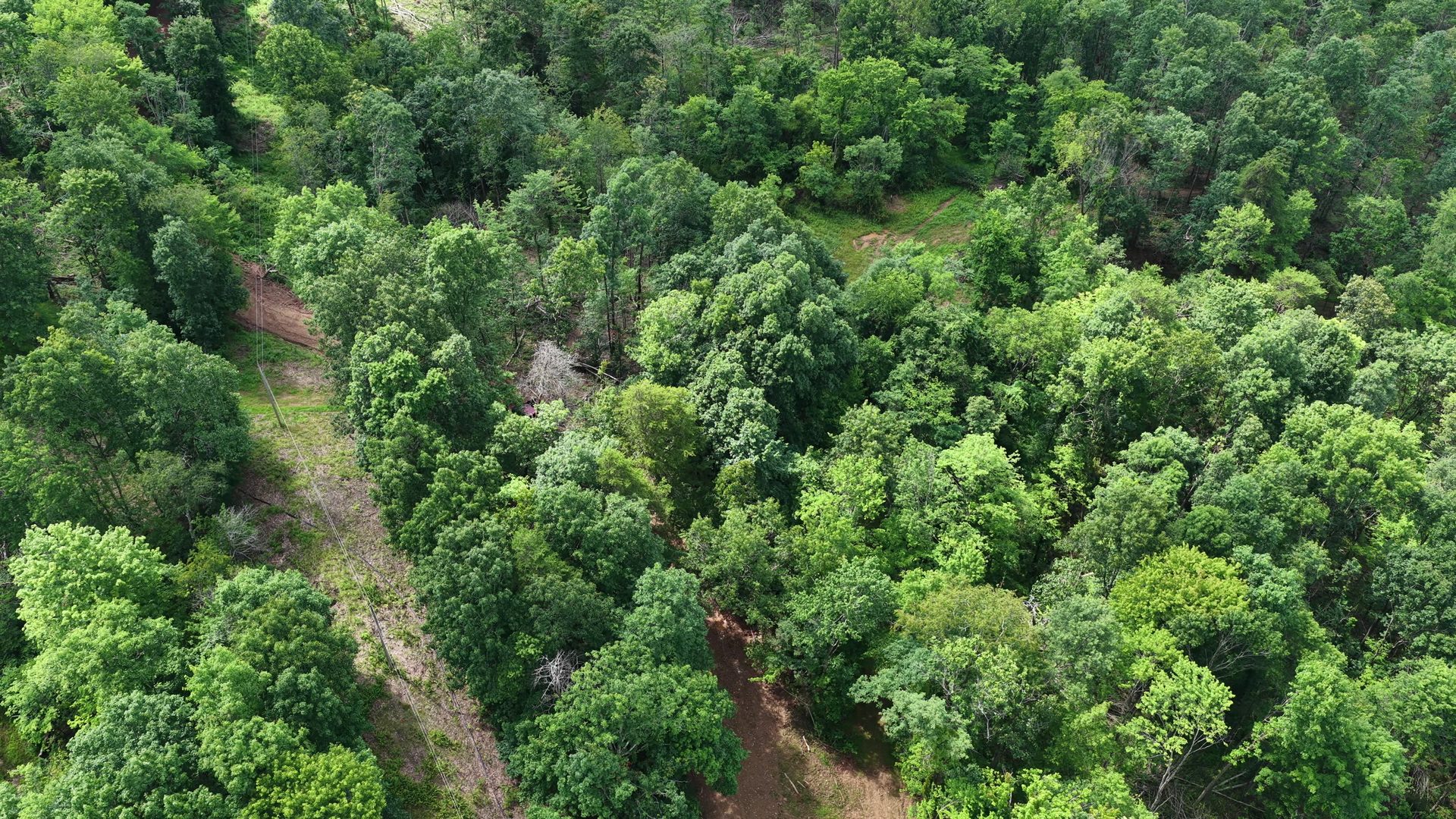 11 Acres with Creek in Washington County, OH - Shay Ridge Road Tract 6 - Photo 4