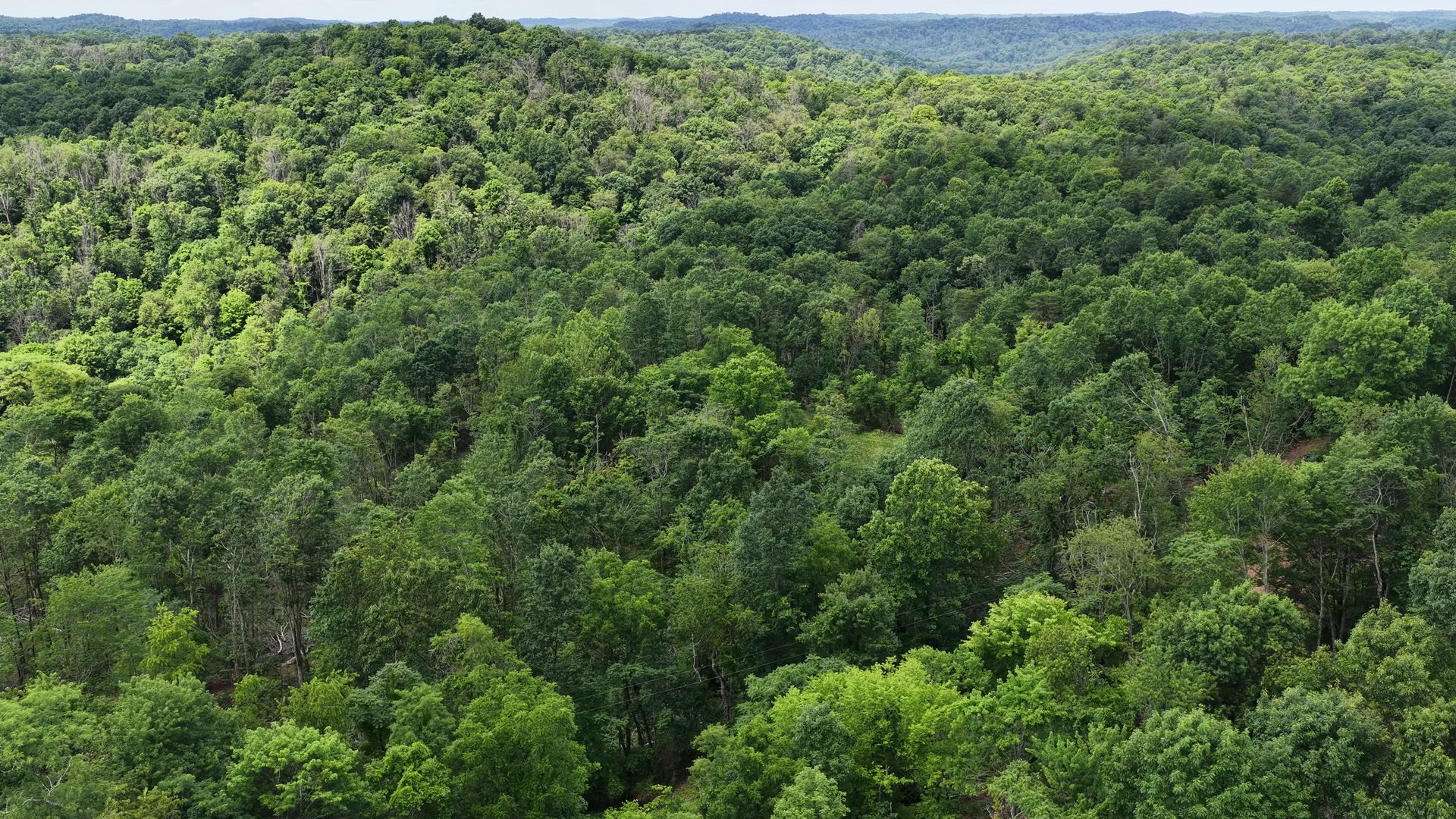 11 Acres with Creek in Washington County, OH - Shay Ridge Road Tract 6 - Photo 5