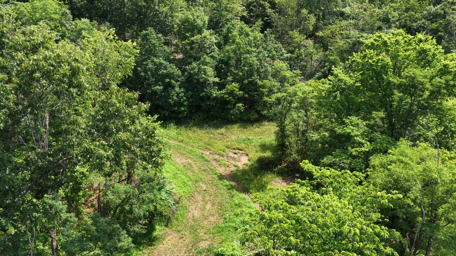 11 Acres with Creek in Washington County, OH - Shay Ridge Road Tract 6 - Photo 7