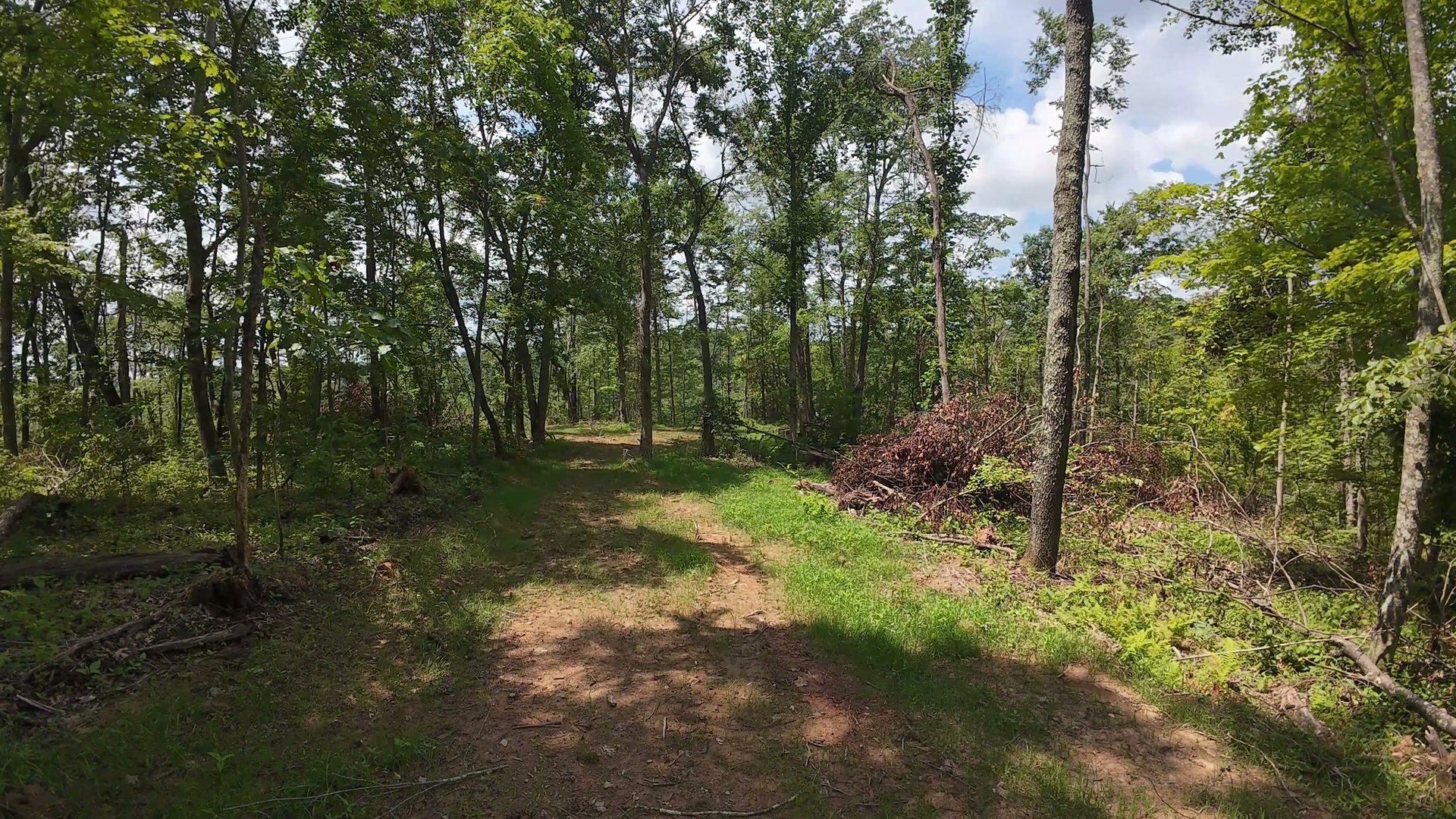11 Acres with Creek in Washington County, OH - Shay Ridge Road Tract 6 - Photo 10