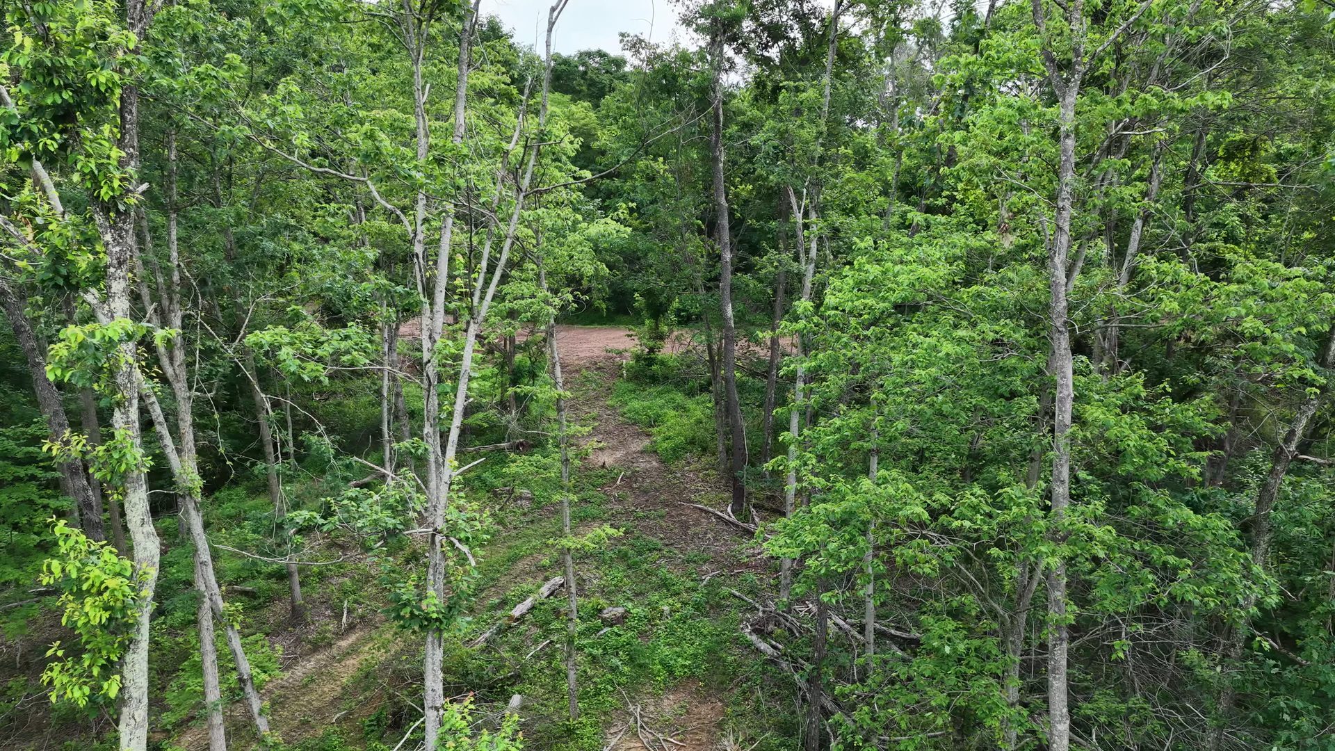11 Acres with Creek in Washington County, OH - Shay Ridge Road Tract 6