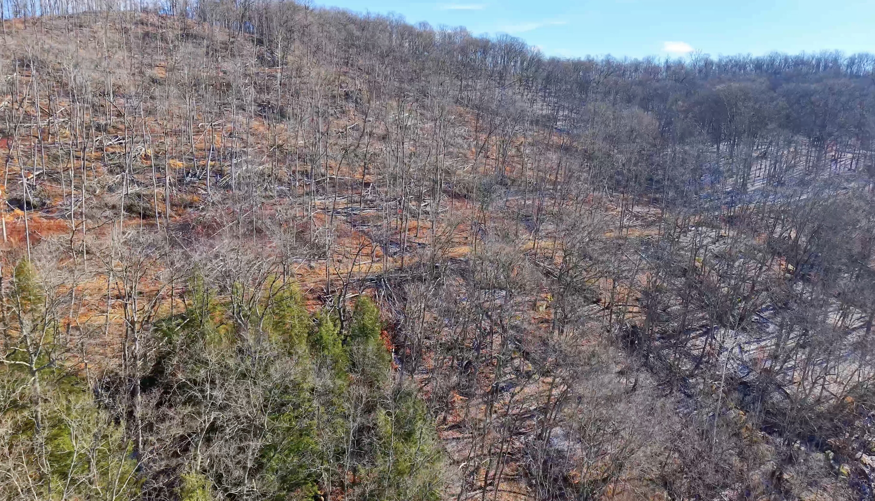 Brooks Rd Lot 1 - 128 Acres in Washington County, OH - Photo 16