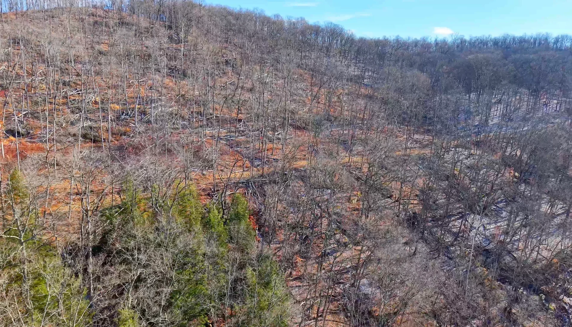 Brooks Rd Lot 1 - 128 Acres in Washington County, OH - Photo 16