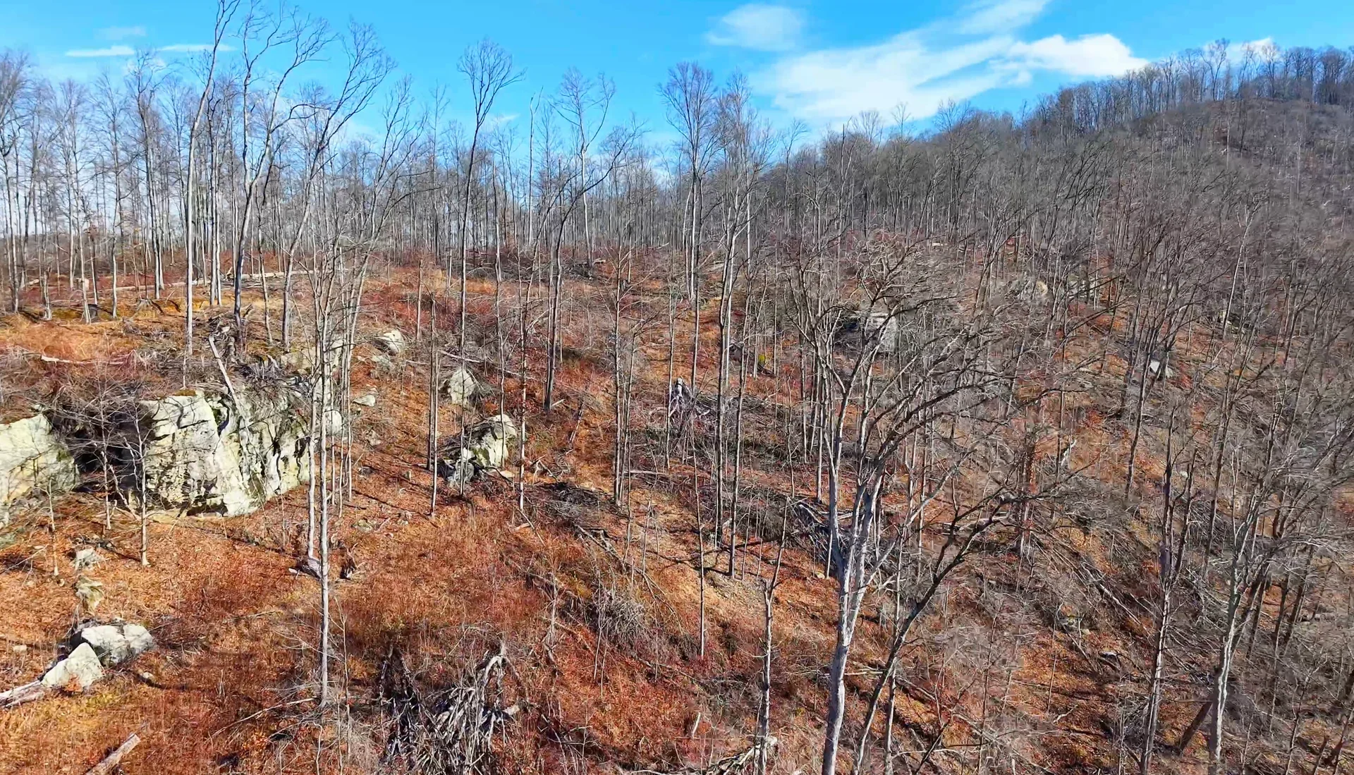 Brooks Rd Lot 1 - 128 Acres in Washington County, OH - Photo 18