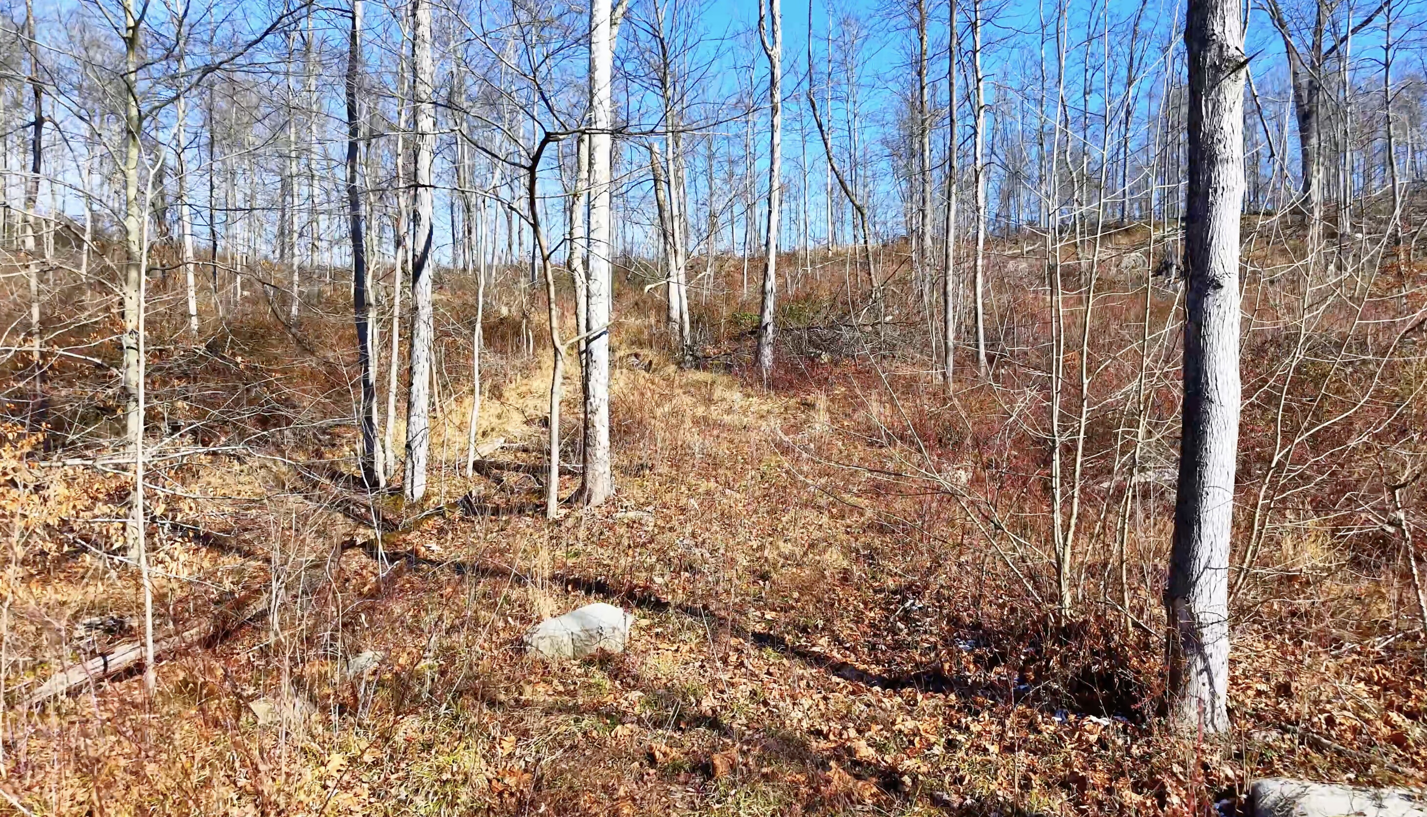 Brooks Rd Lot 1 - 128 Acres in Washington County, OH - Photo 19