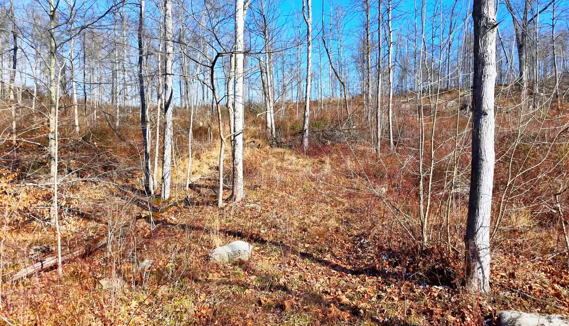 Brooks Rd Lot 1 - 128 Acres in Washington County, OH - Photo 19